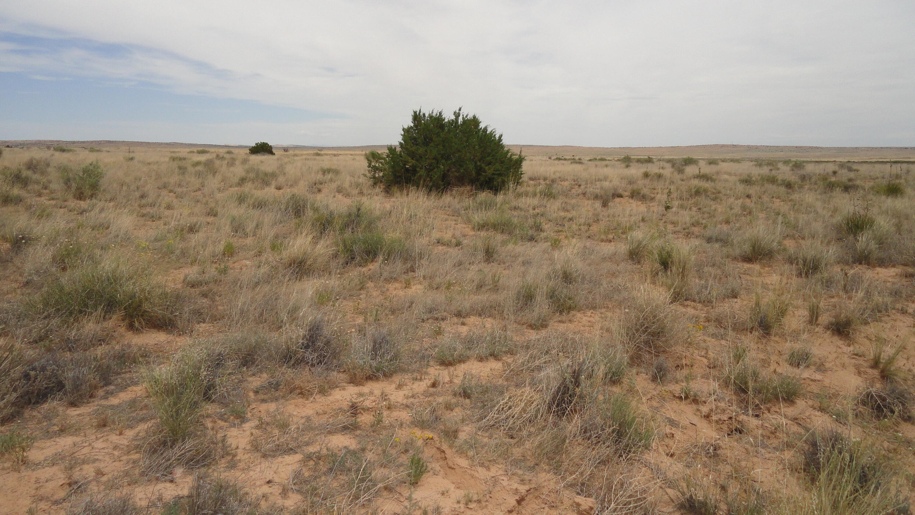 Photo 7 —  Canyon