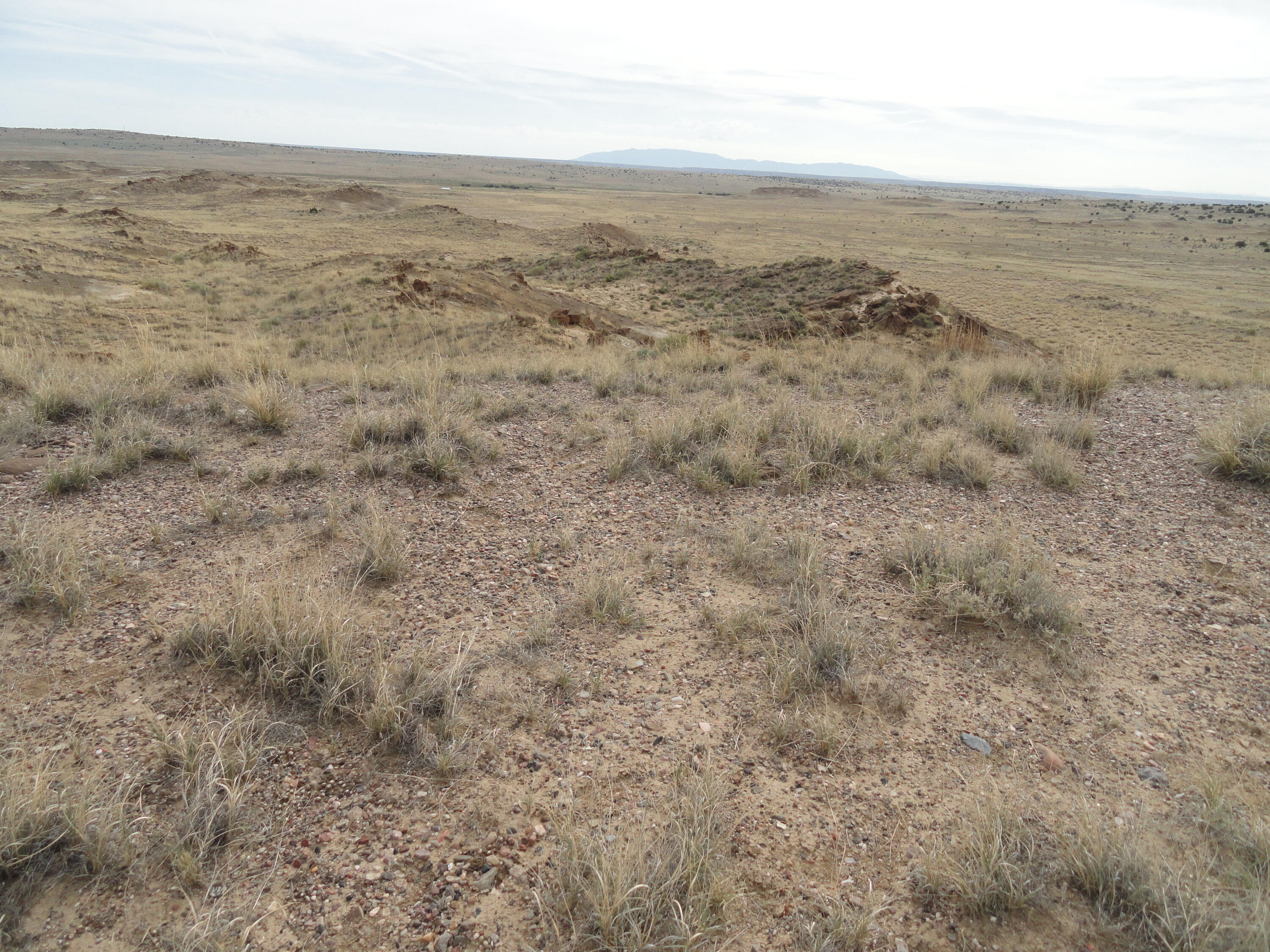 Photo 13 —  Canyon