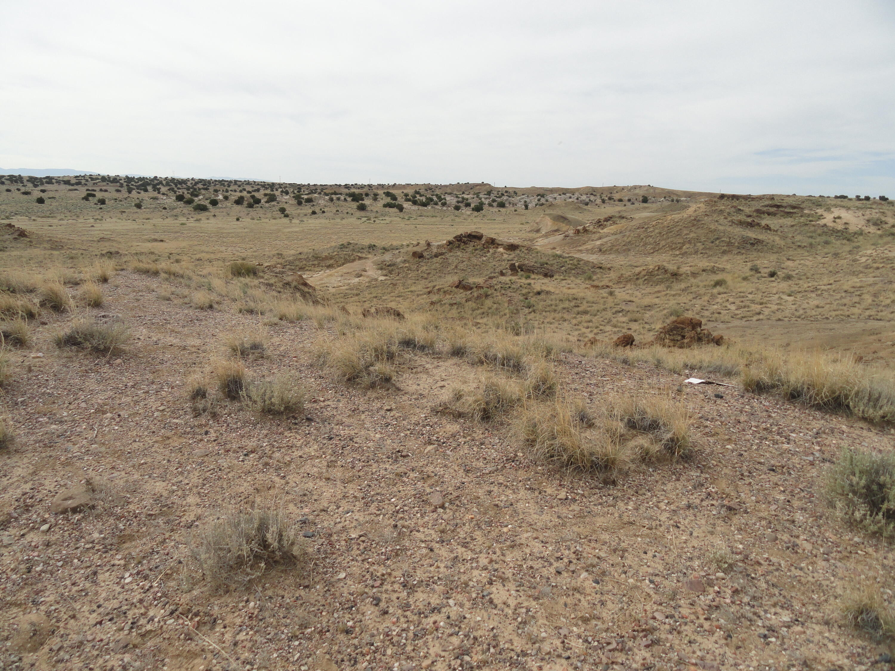 Photo 14 —  Canyon