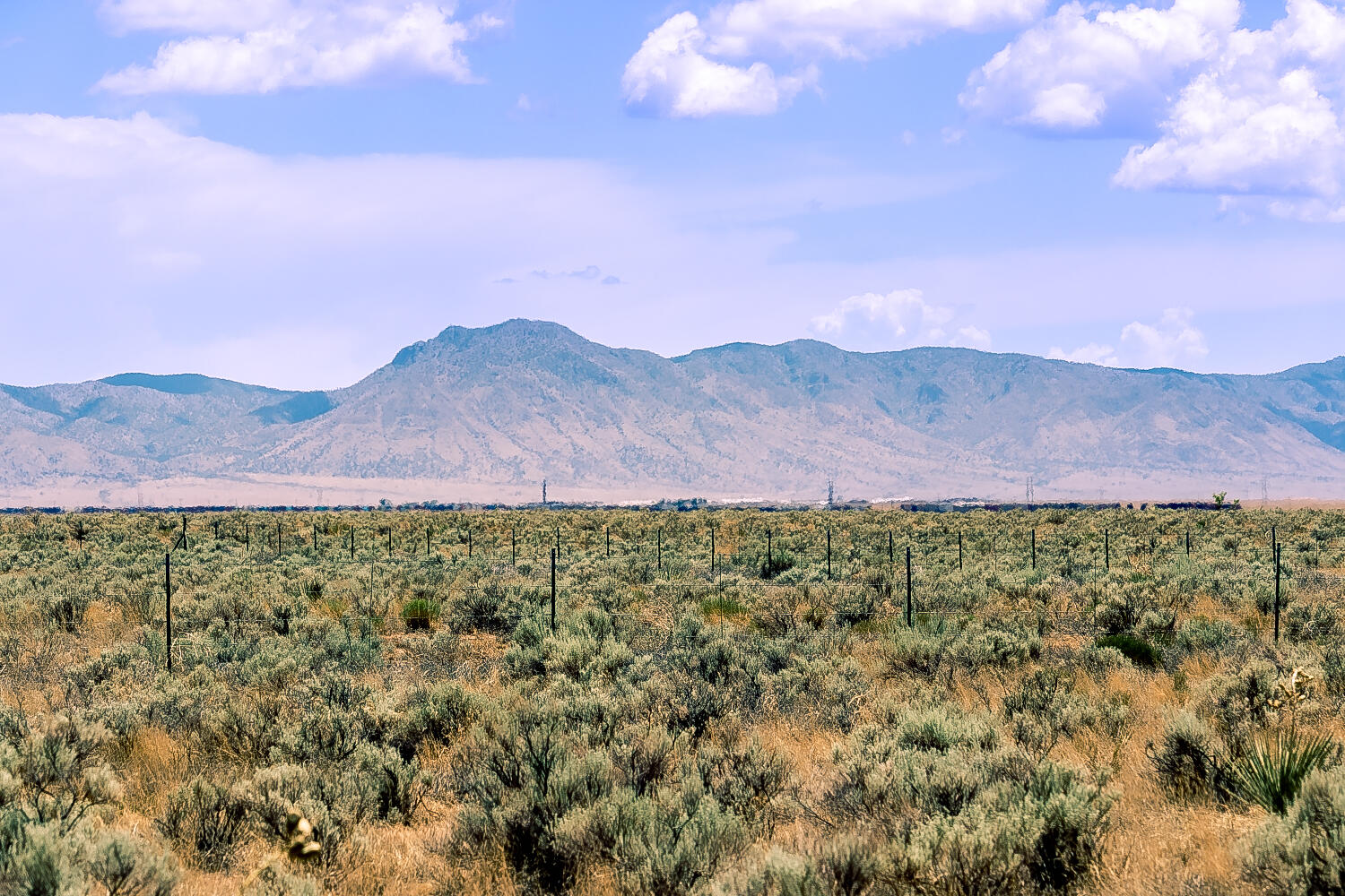 Photo 9 — 16 Las Borregas Road
