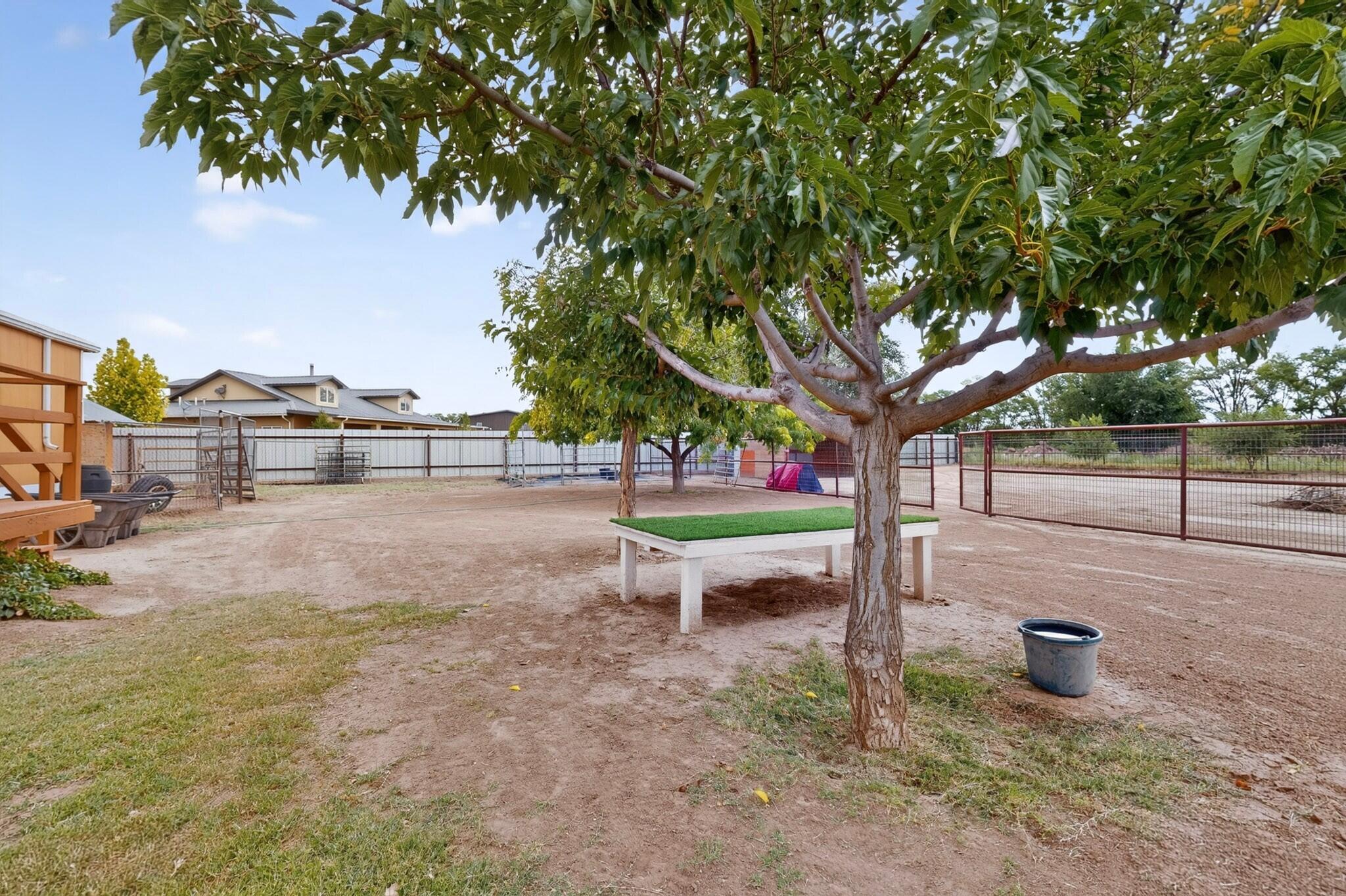 Photo 9 — 8 Kimberling Drive