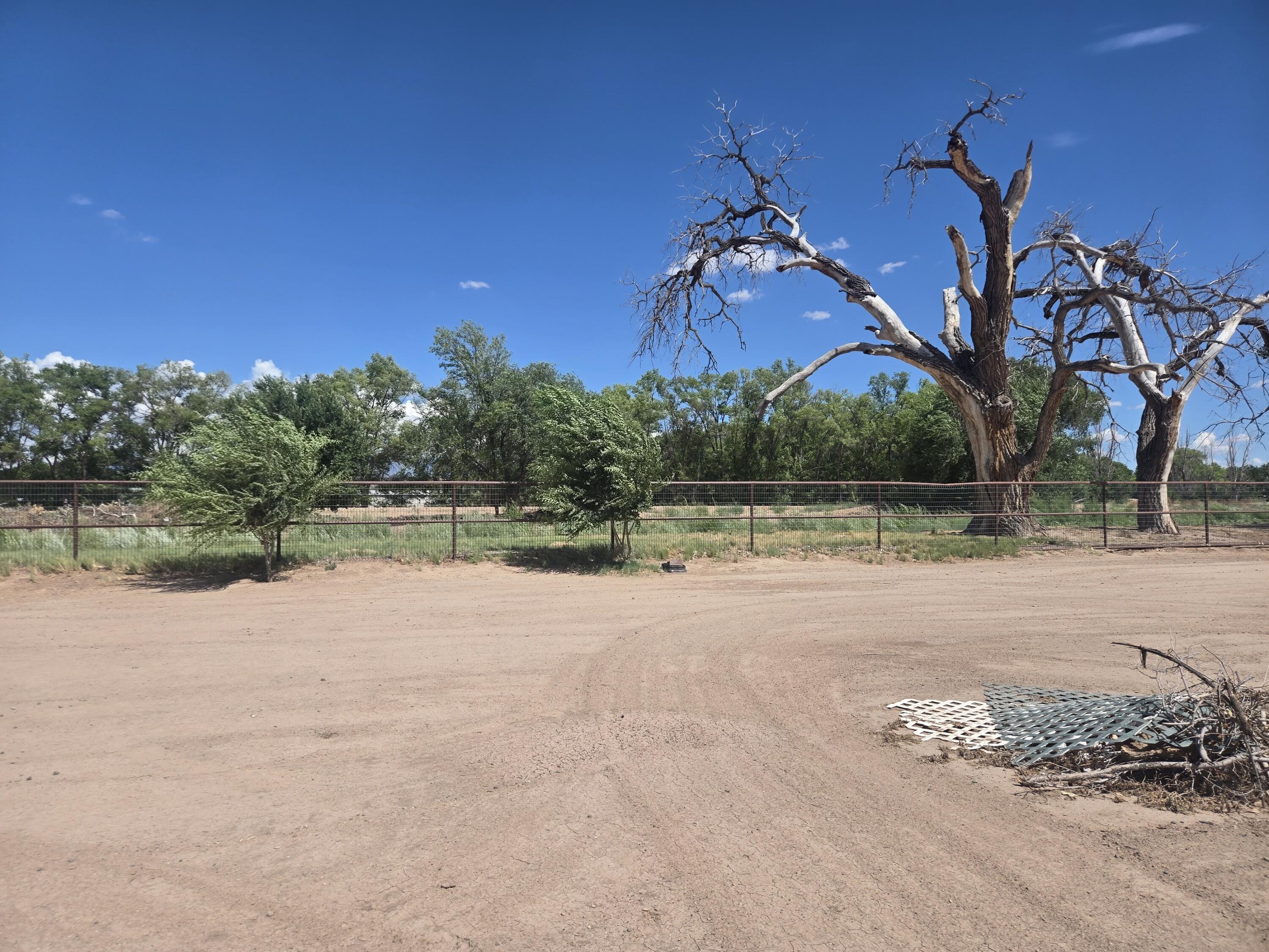 Photo 3 — 8 Kimberling Drive