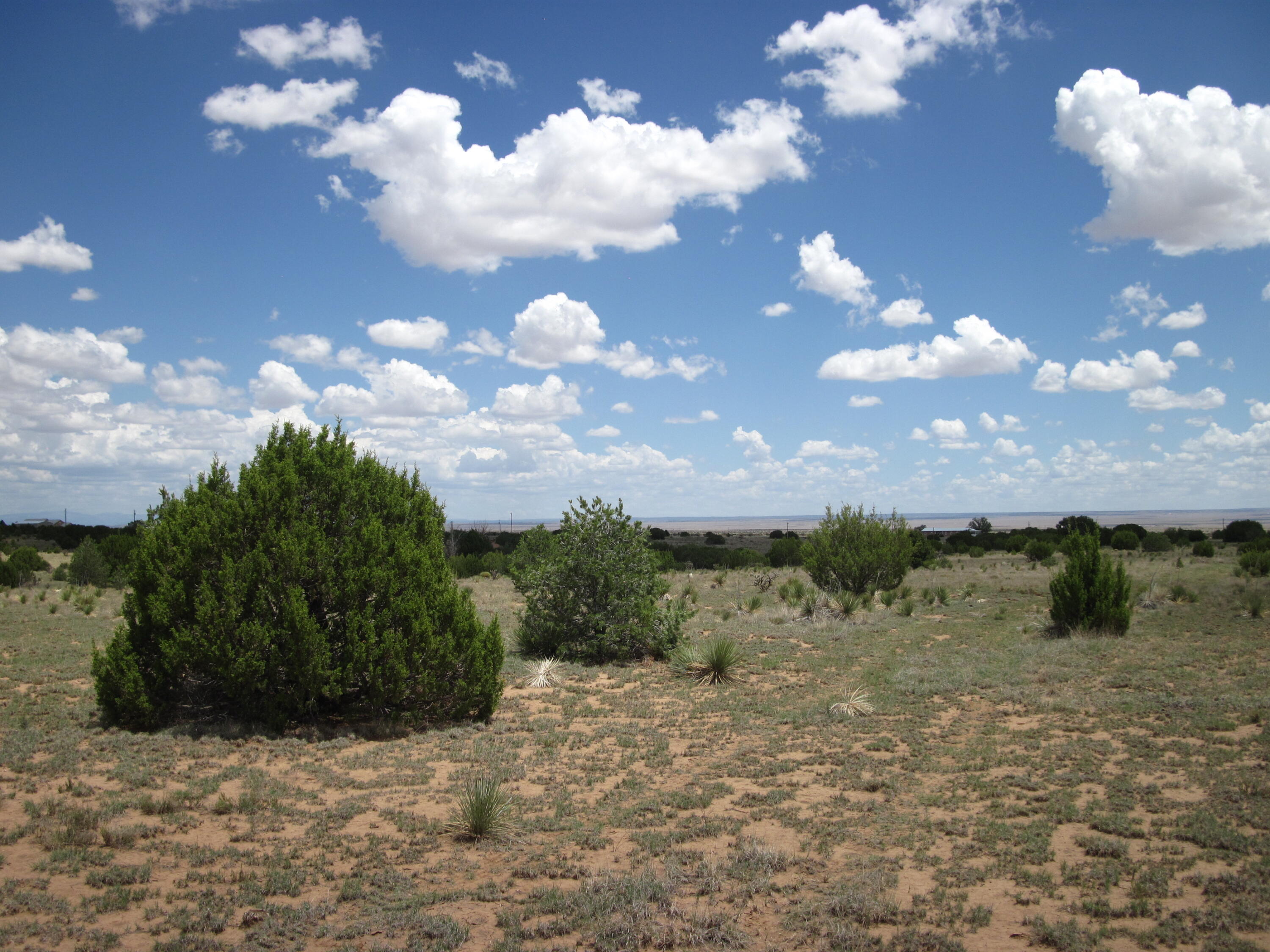 Photo 2 — 975 NM-344