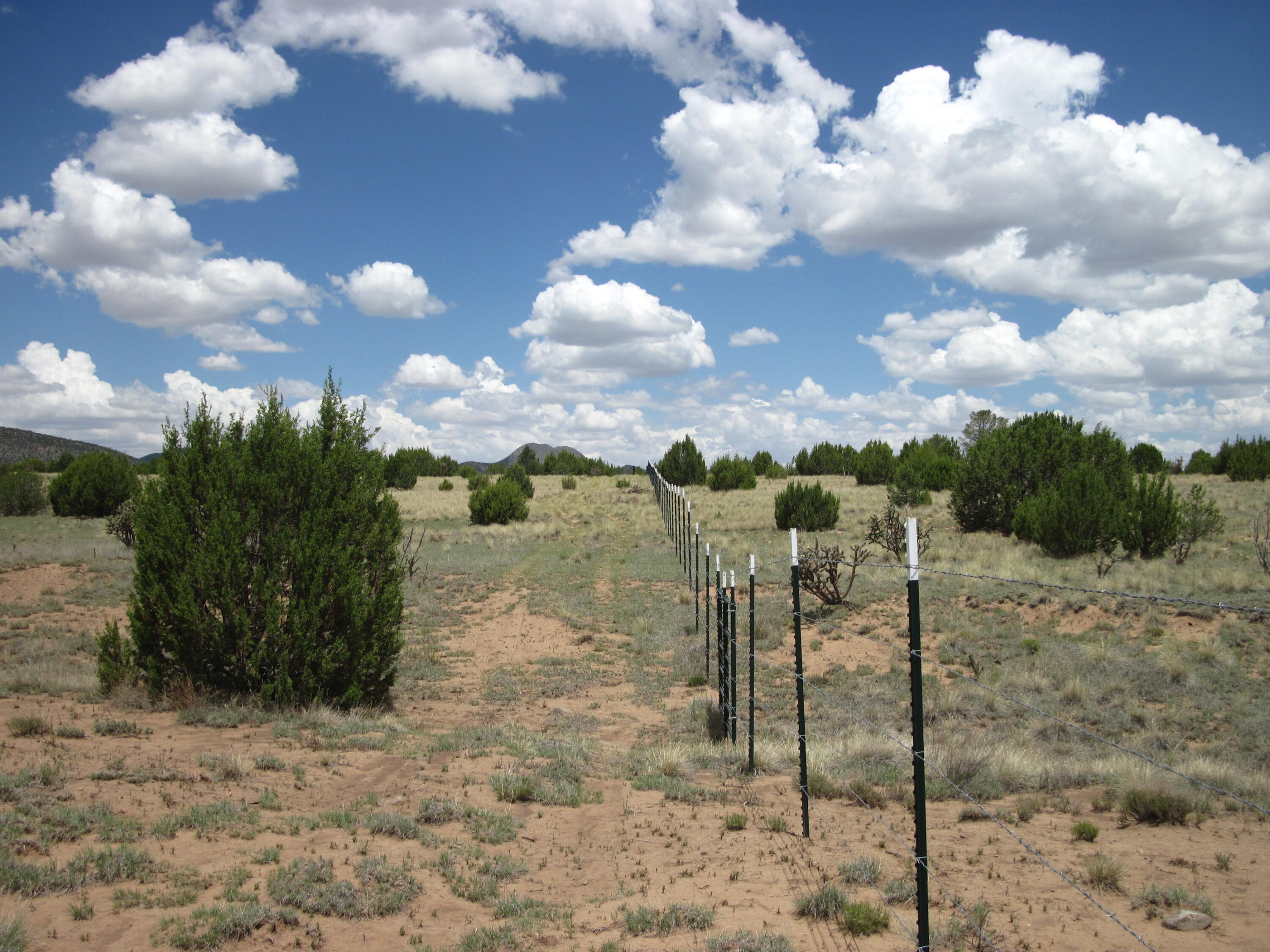 Photo 5 — 975 NM-344