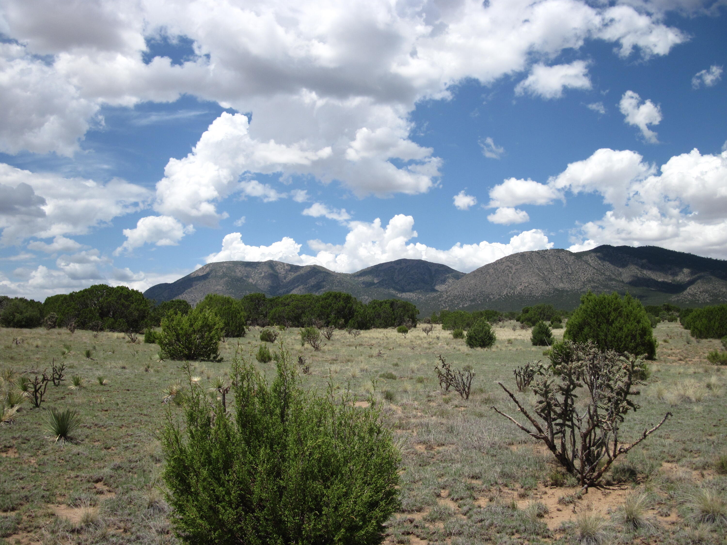 Photo 6 — 975 NM-344