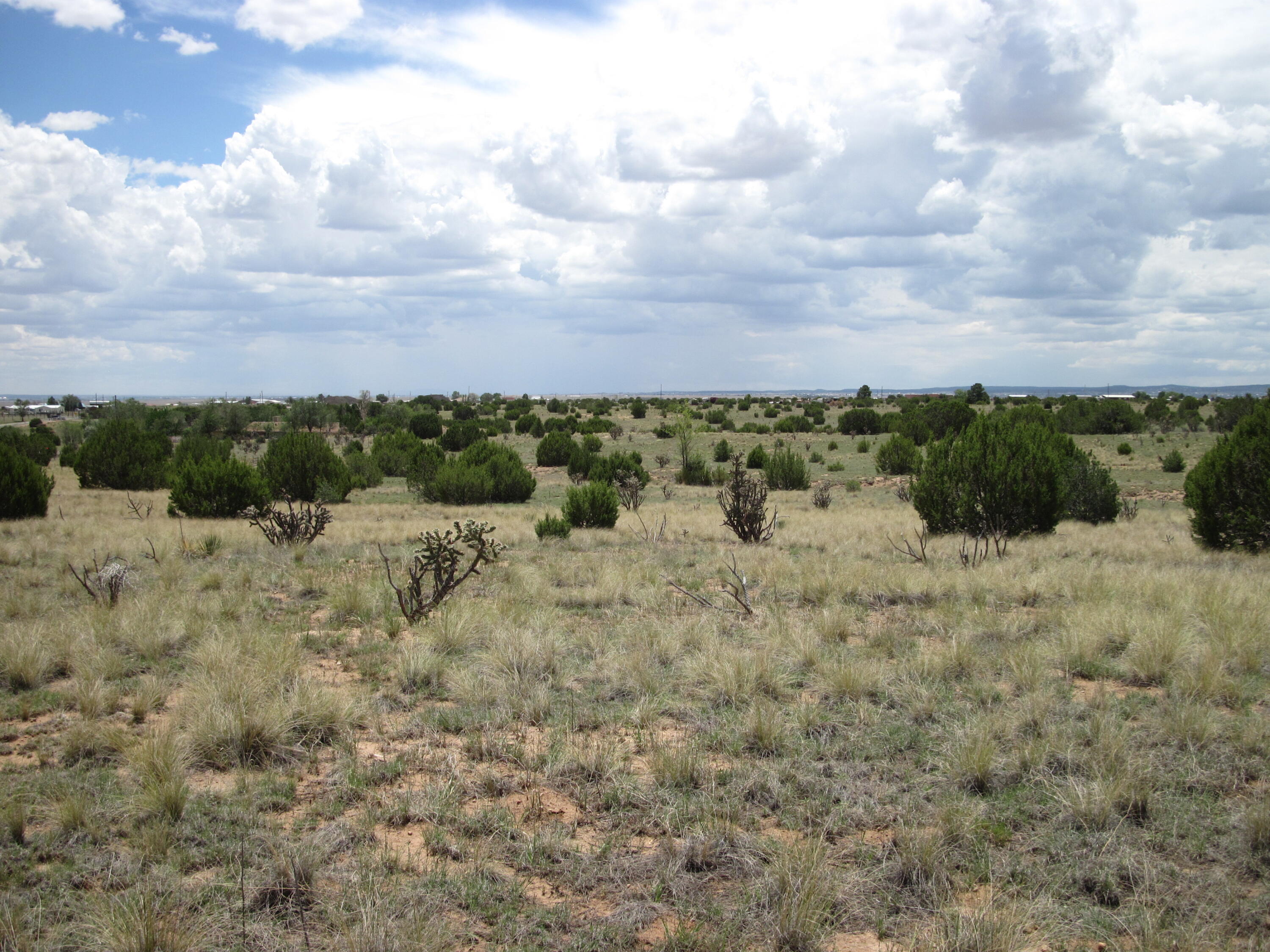 Photo 7 — 975 NM-344