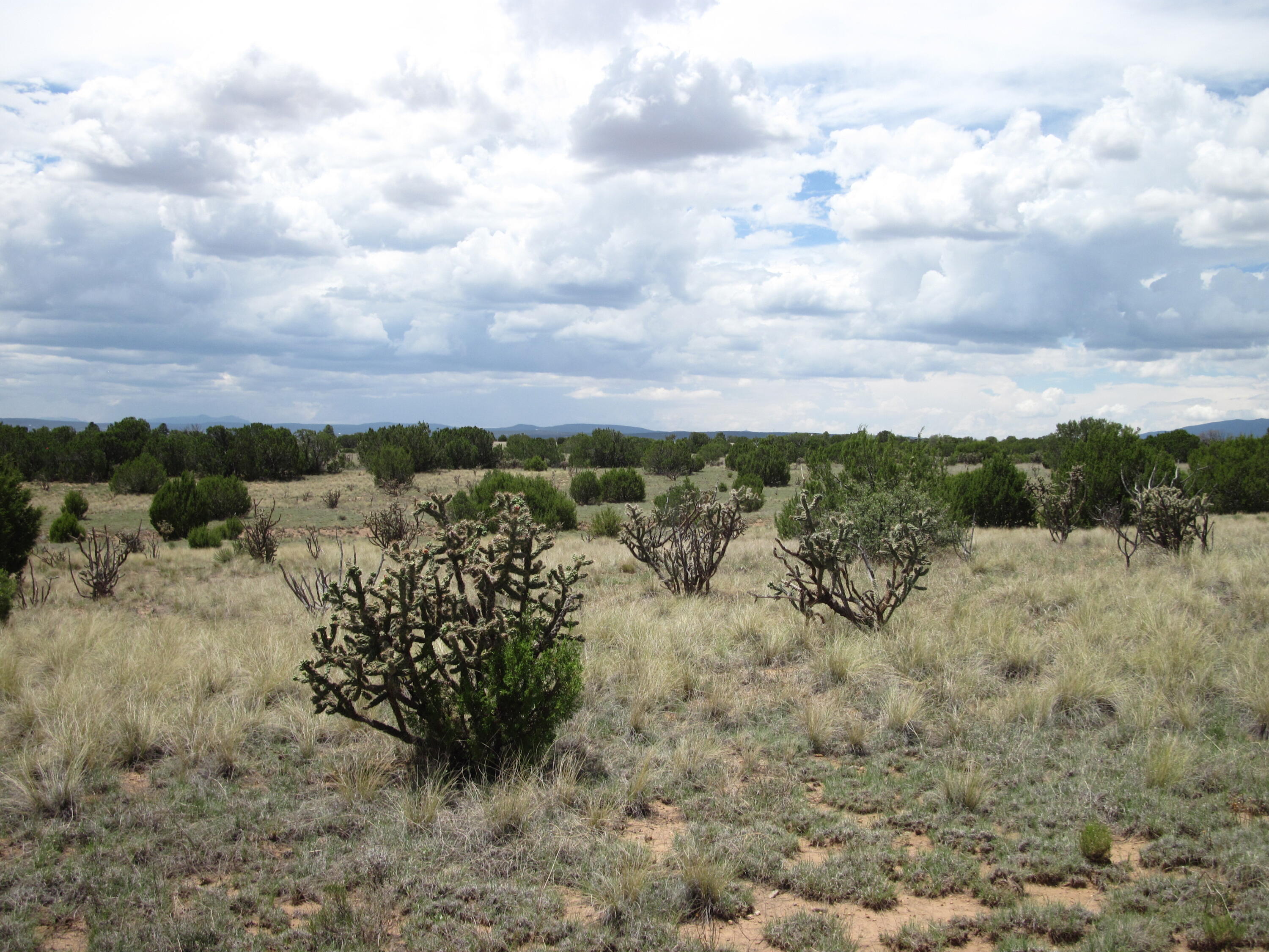 Photo 8 — 975 NM-344