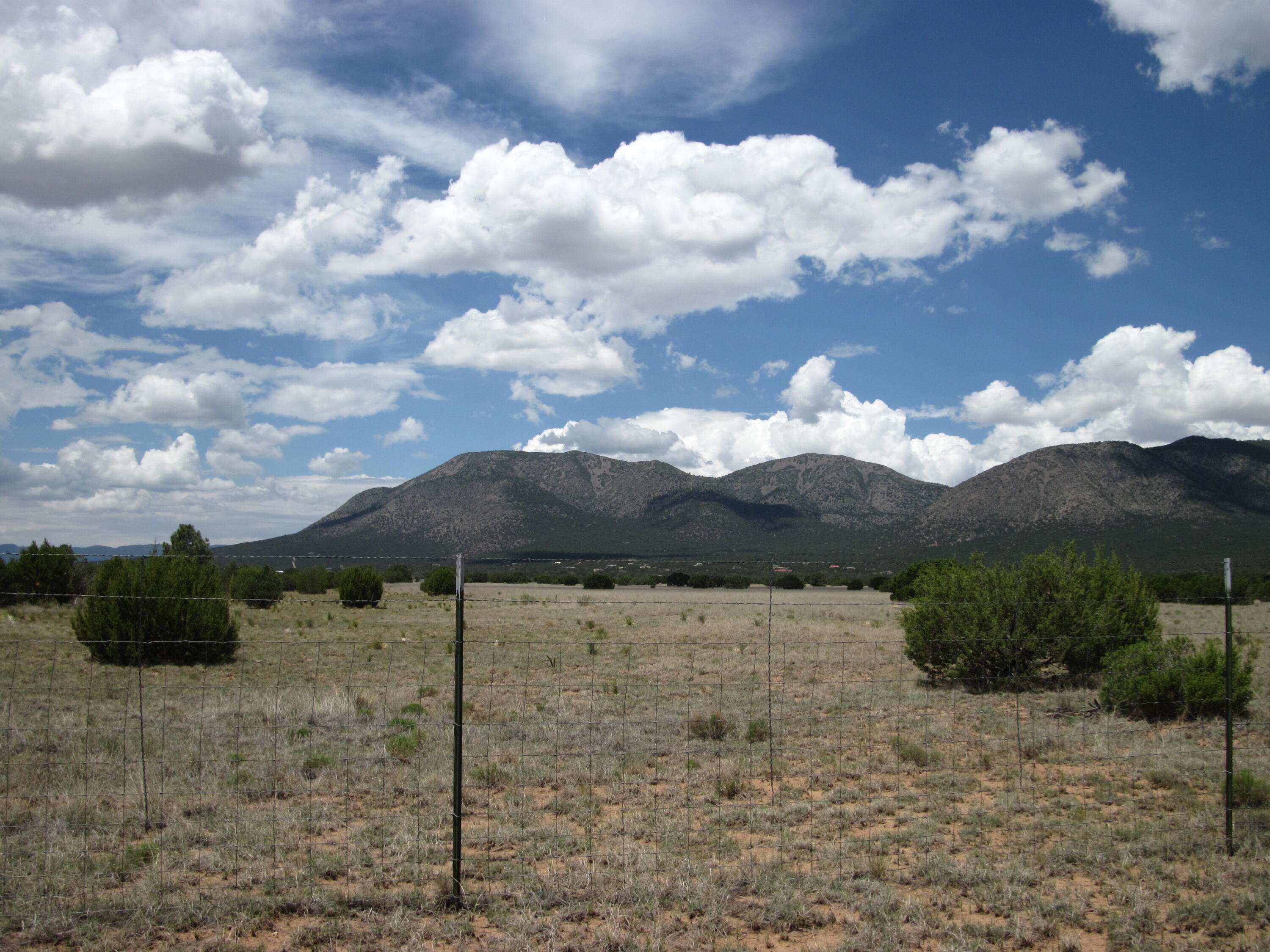 Photo 9 — 975 NM-344
