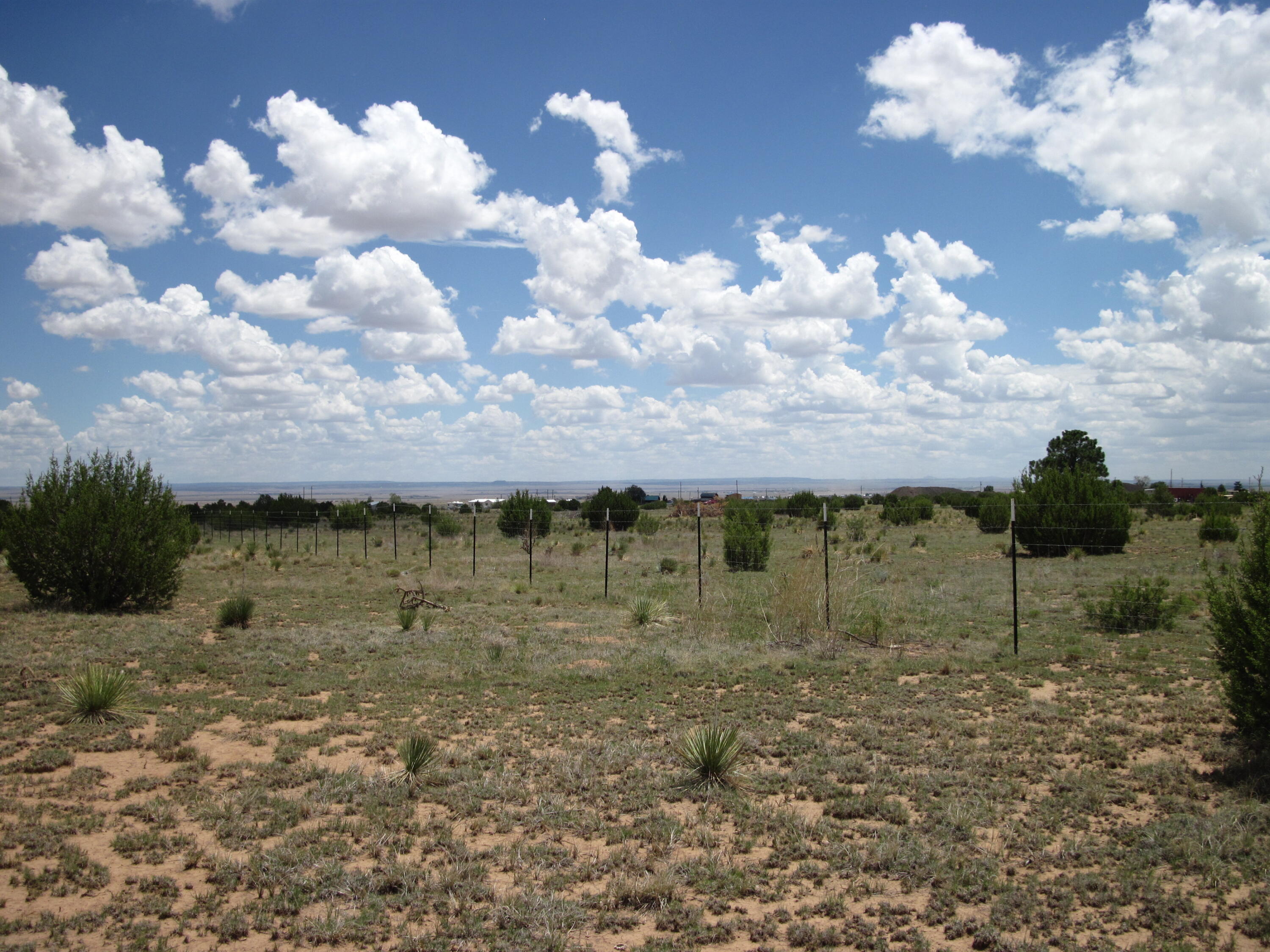 Photo 10 — 975 NM-344