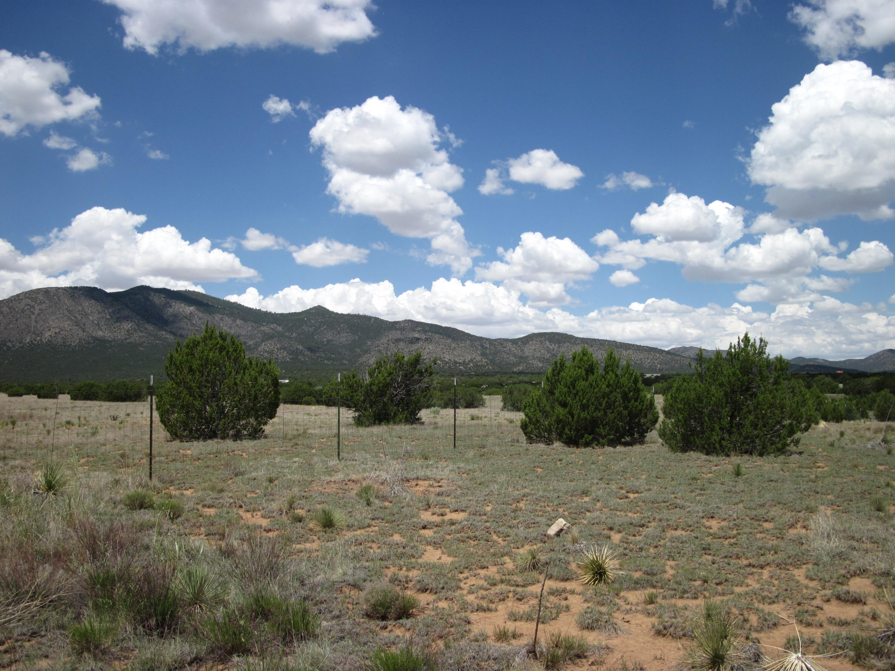 Photo 11 — 975 NM-344