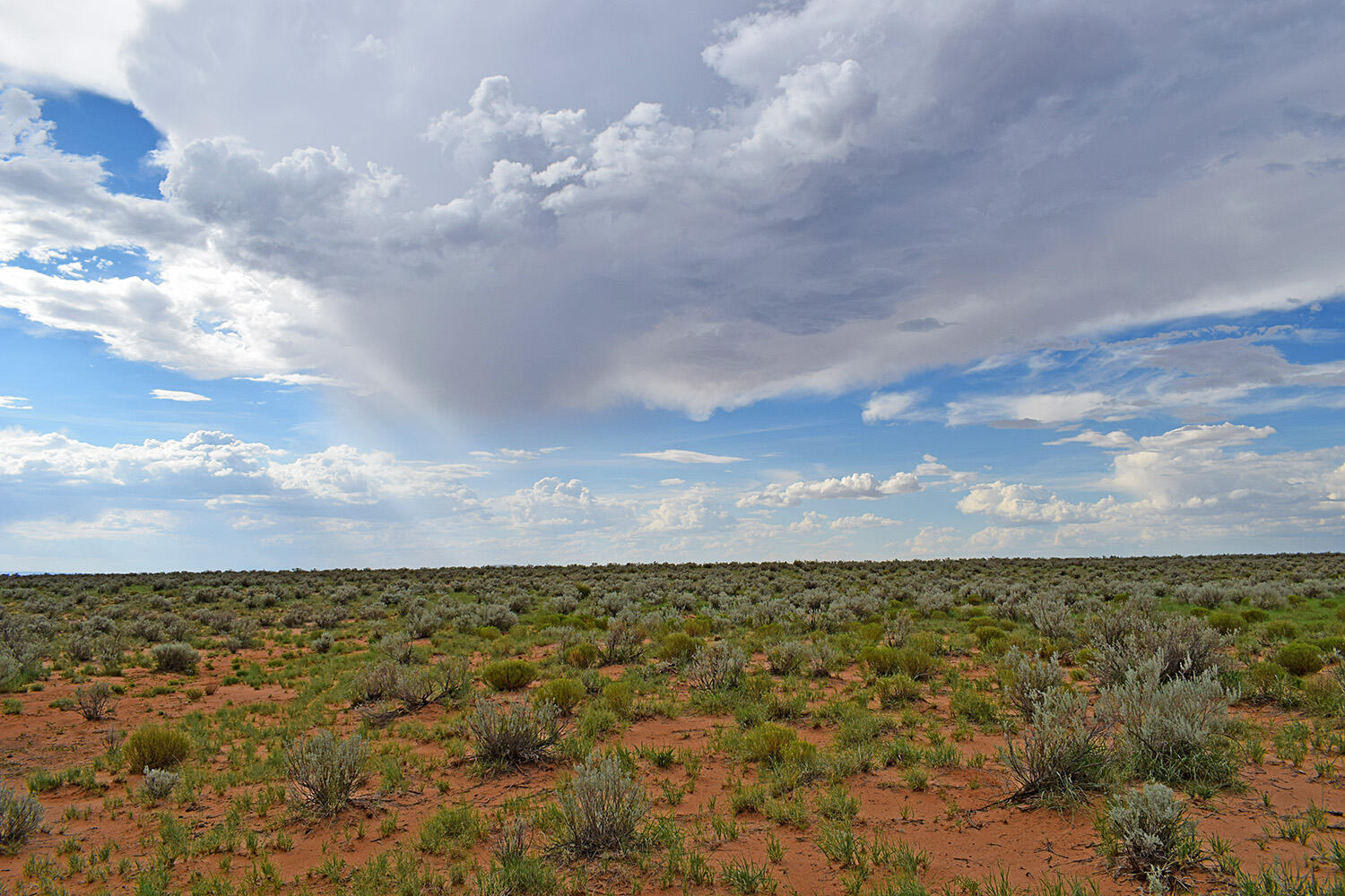 Photo 5 — Lot 14 Rio Grande Estates 26