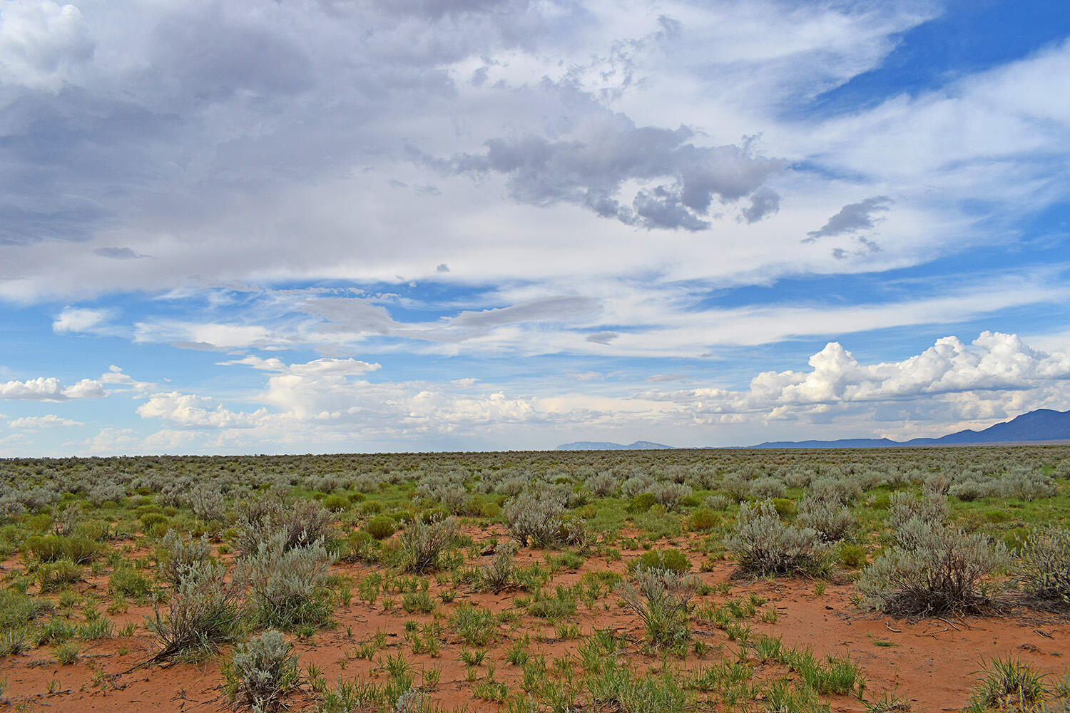 Photo 6 — Lot 14 Rio Grande Estates 26