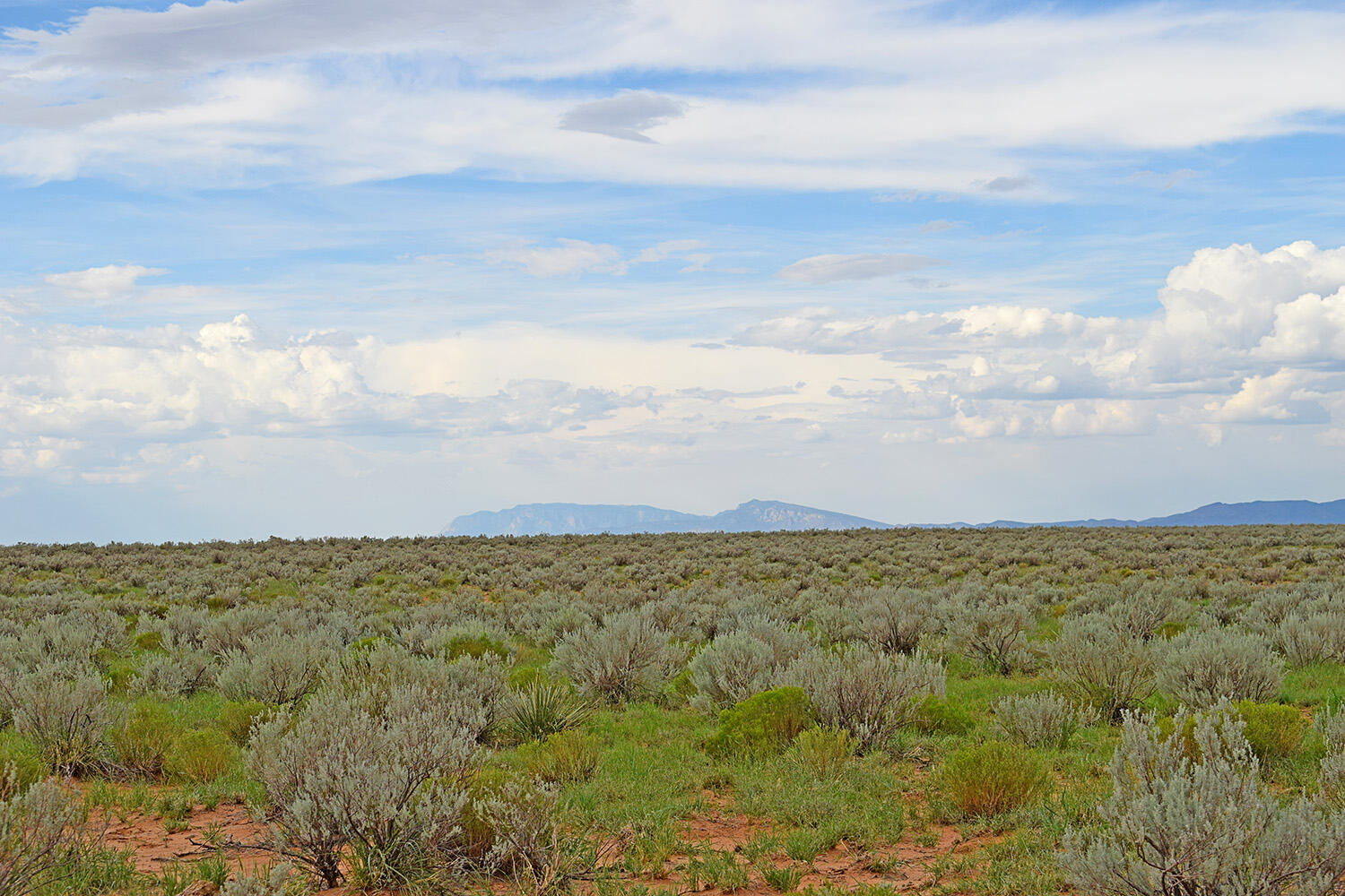 Photo 7 — Lot 14 Rio Grande Estates 26