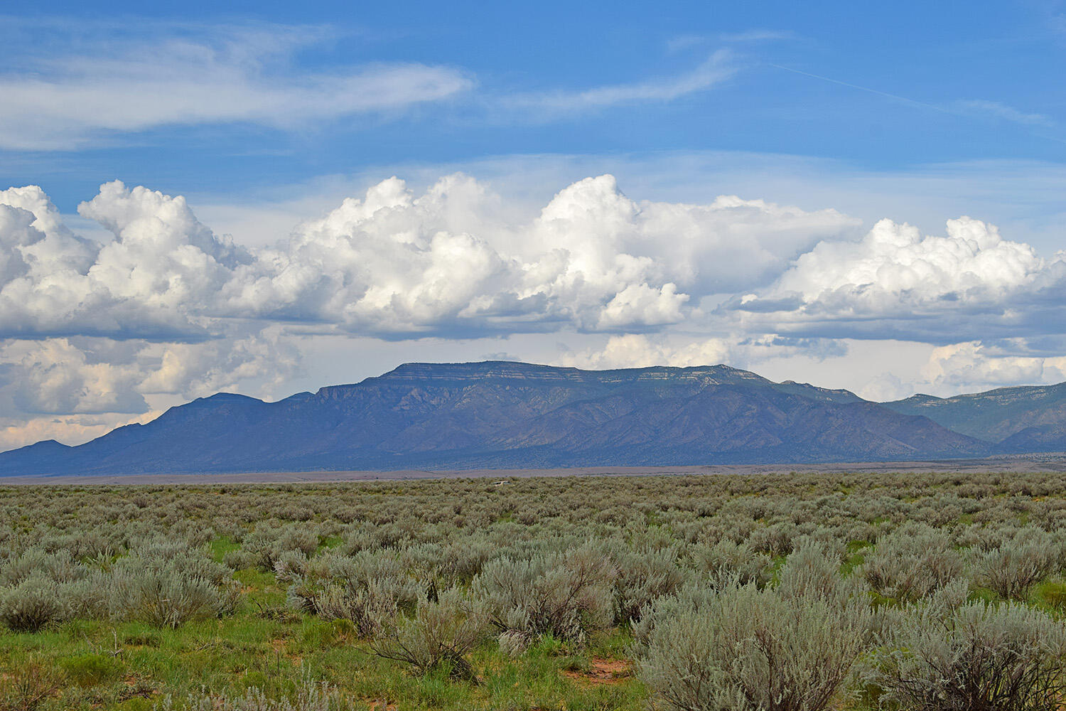 Photo 8 — Lot 14 Rio Grande Estates 26