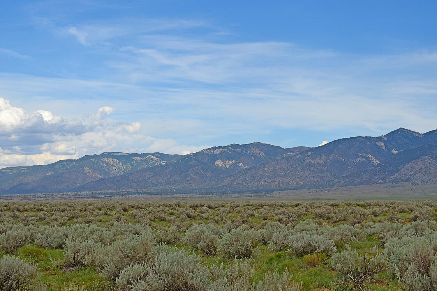 Photo 9 — Lot 14 Rio Grande Estates 26