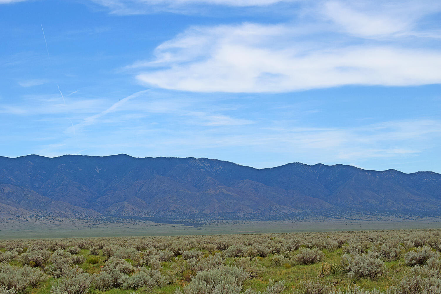 Photo 11 — Lot 14 Rio Grande Estates 26