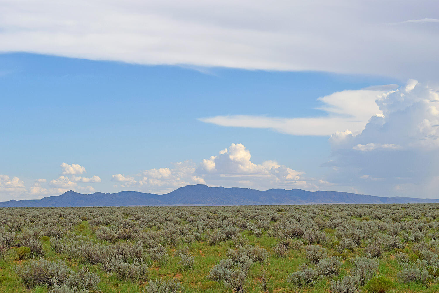 Photo 12 — Lot 14 Rio Grande Estates 26