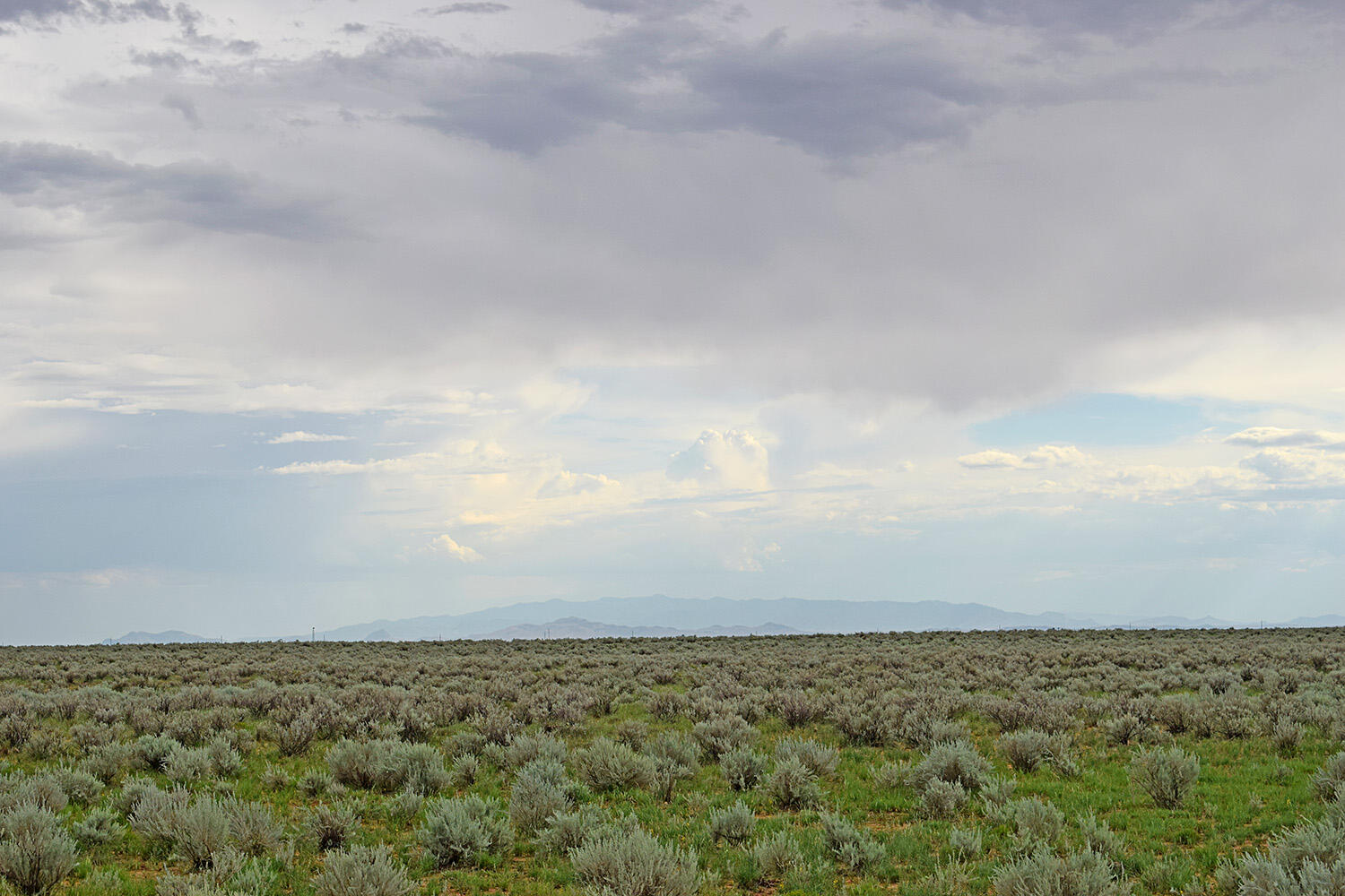 Photo 13 — Lot 14 Rio Grande Estates 26