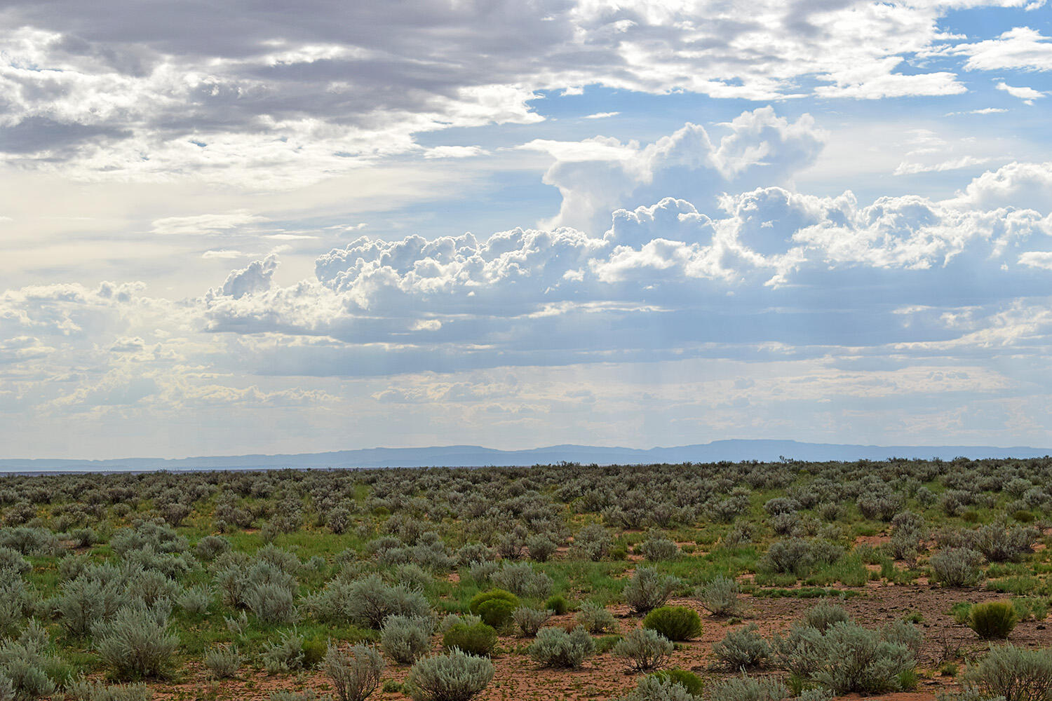 Photo 15 — Lot 14 Rio Grande Estates 26