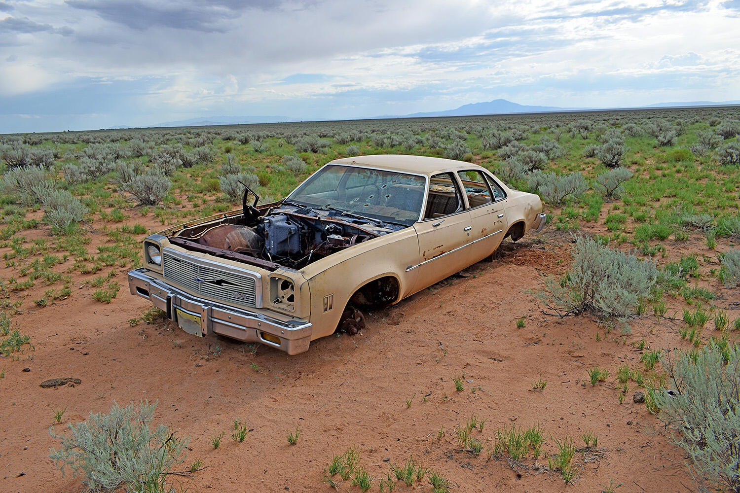 Photo 17 — Lot 14 Rio Grande Estates 26