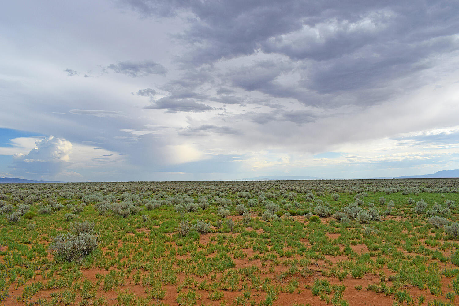 Photo 2 — Lot 14 Rio Grande Estates 26