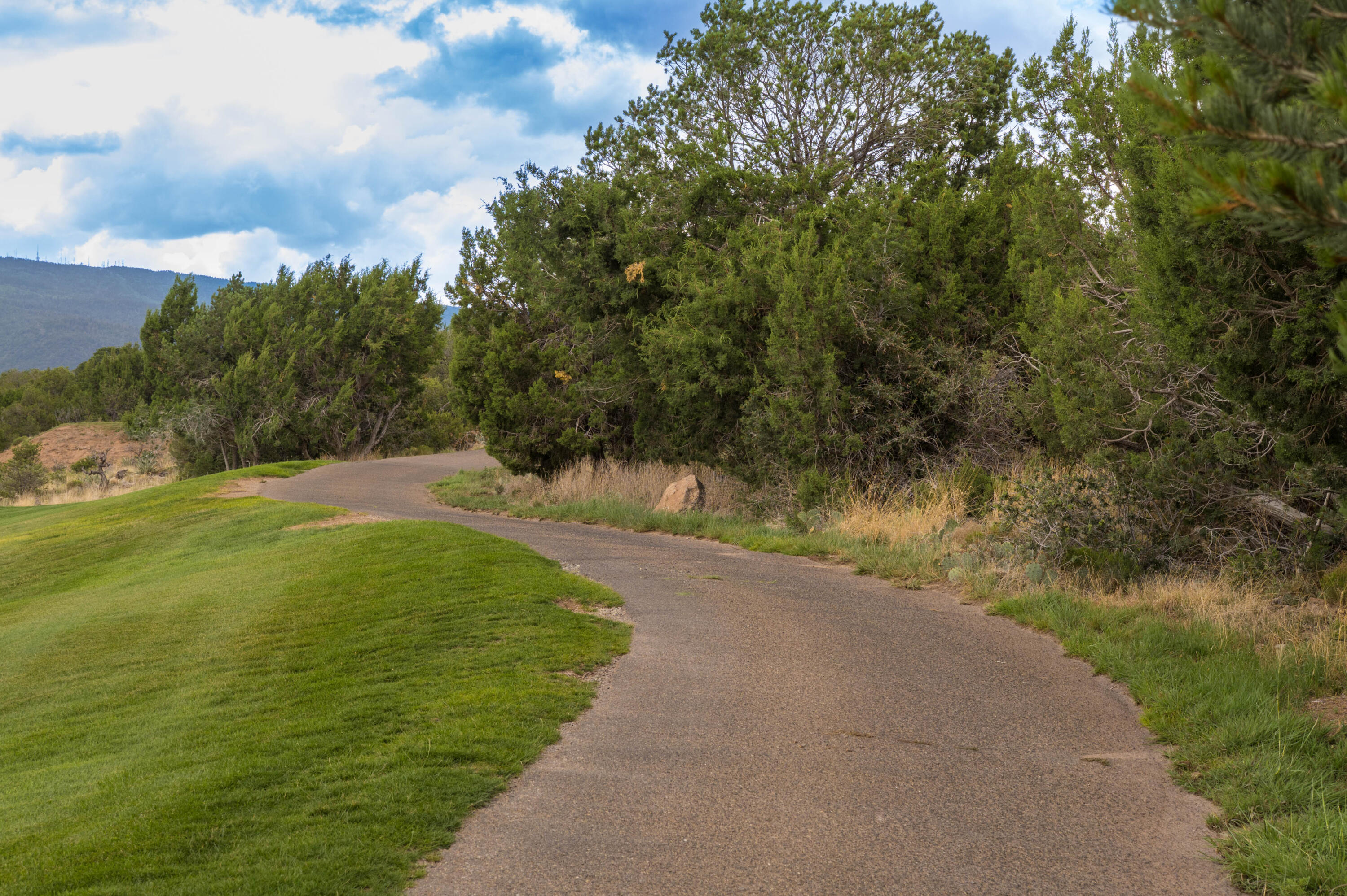 Photo 4 — 95 Raindance Road