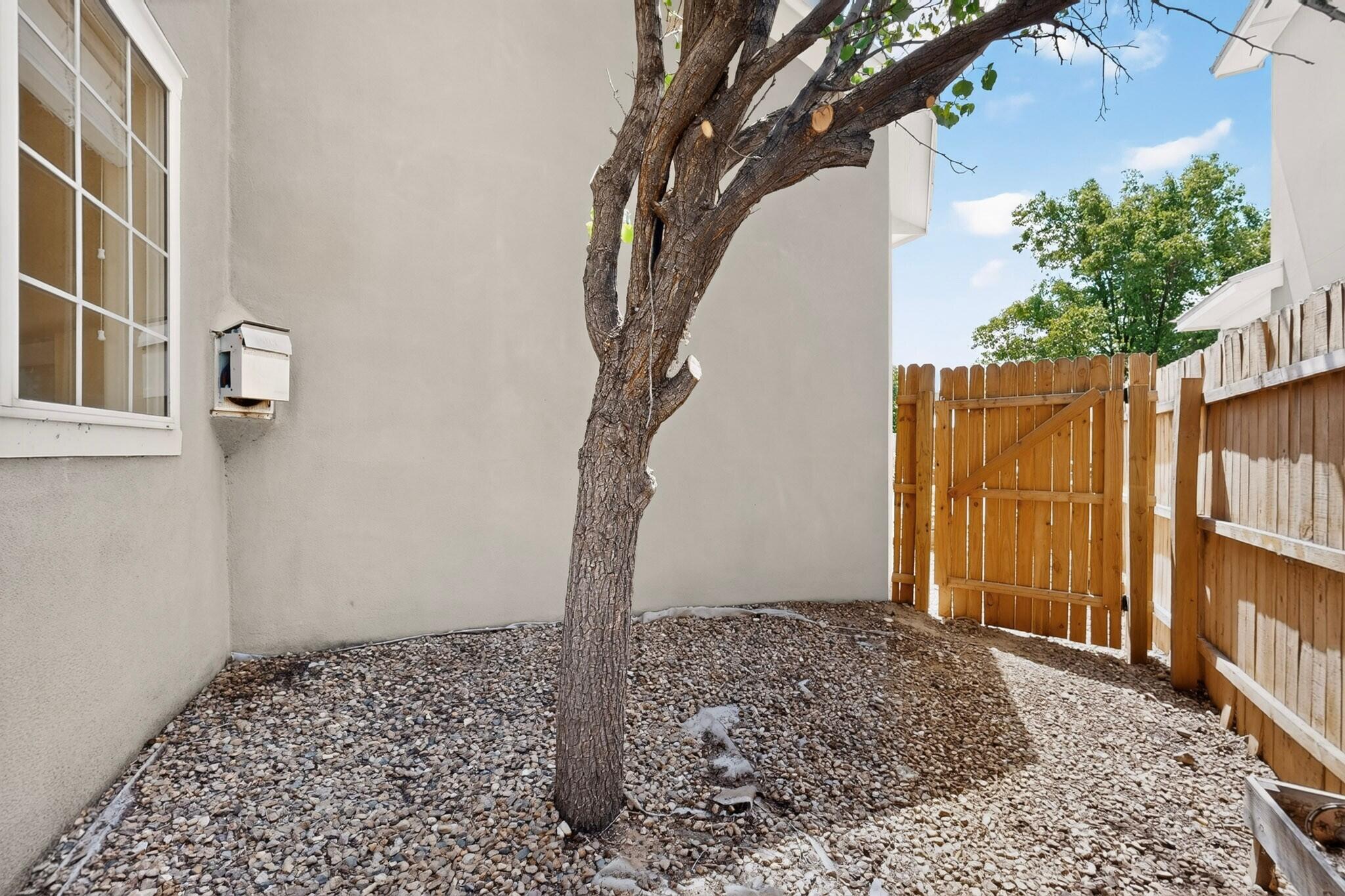 Photo 7 — 1531 Phoenix Avenue NW