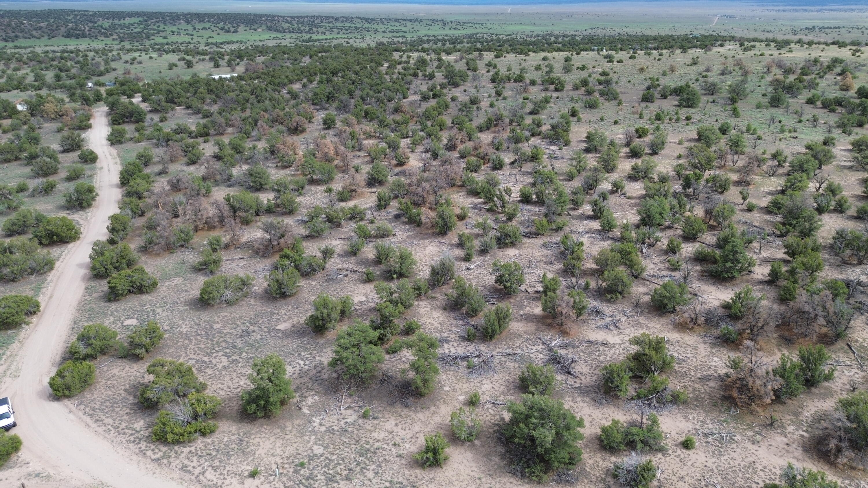 LOT 20 HORSESHOE CIR, Quemado, NM 87829