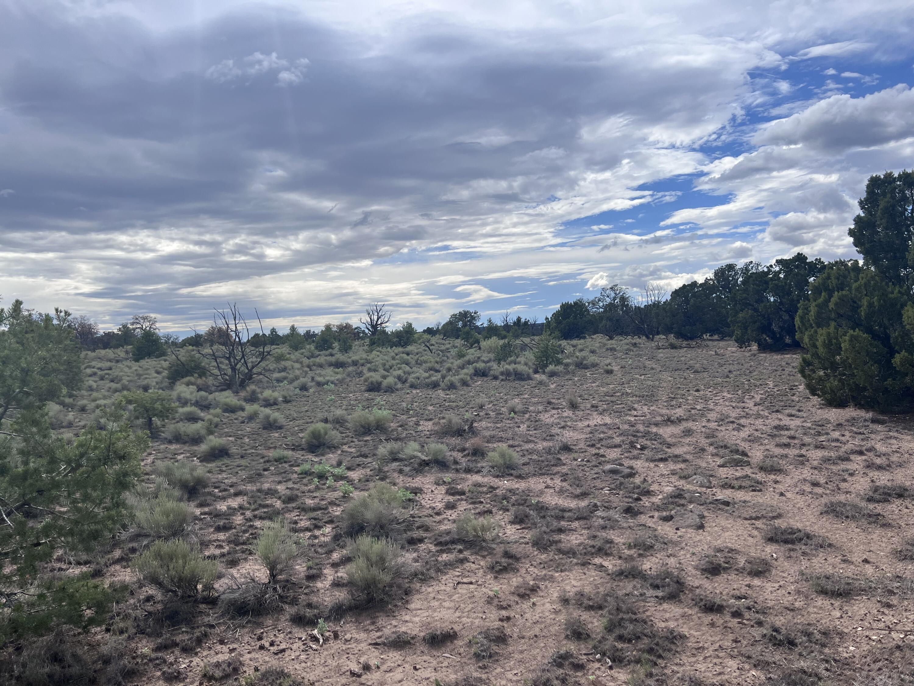 Photo 17 — LOT 20 HORSESHOE CIR