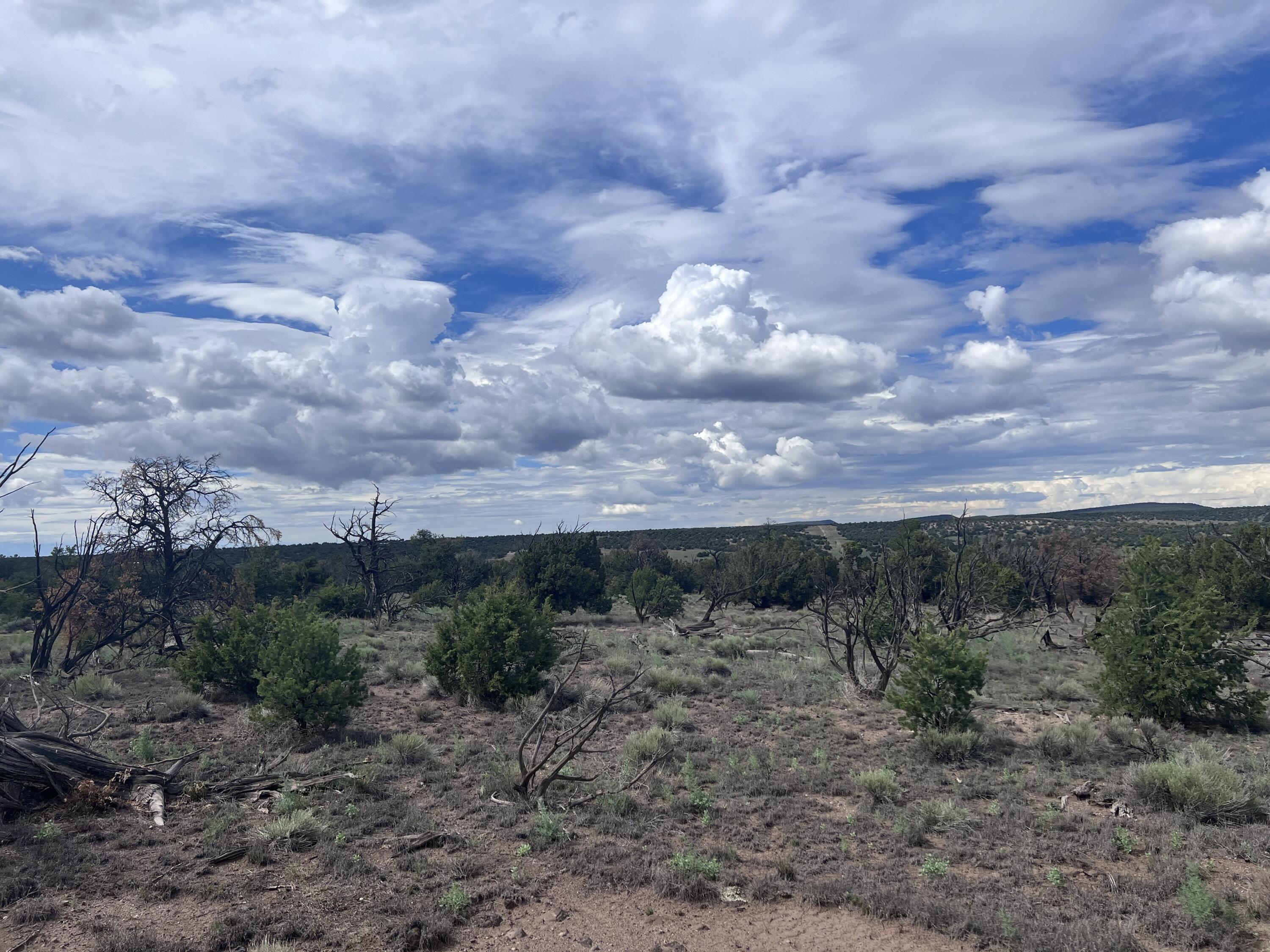 Photo 2 — LOT 20 HORSESHOE CIR