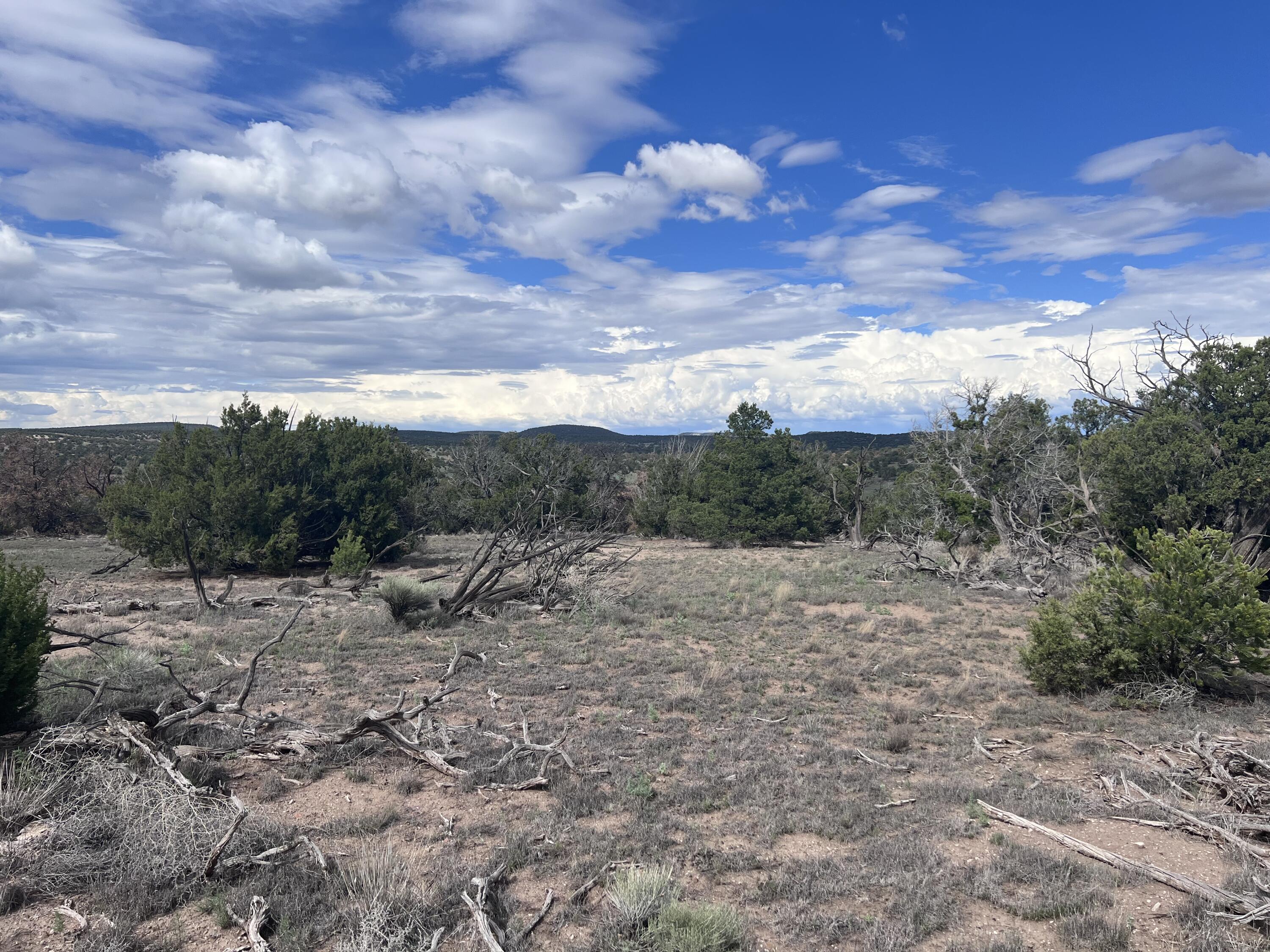Photo 3 — LOT 20 HORSESHOE CIR