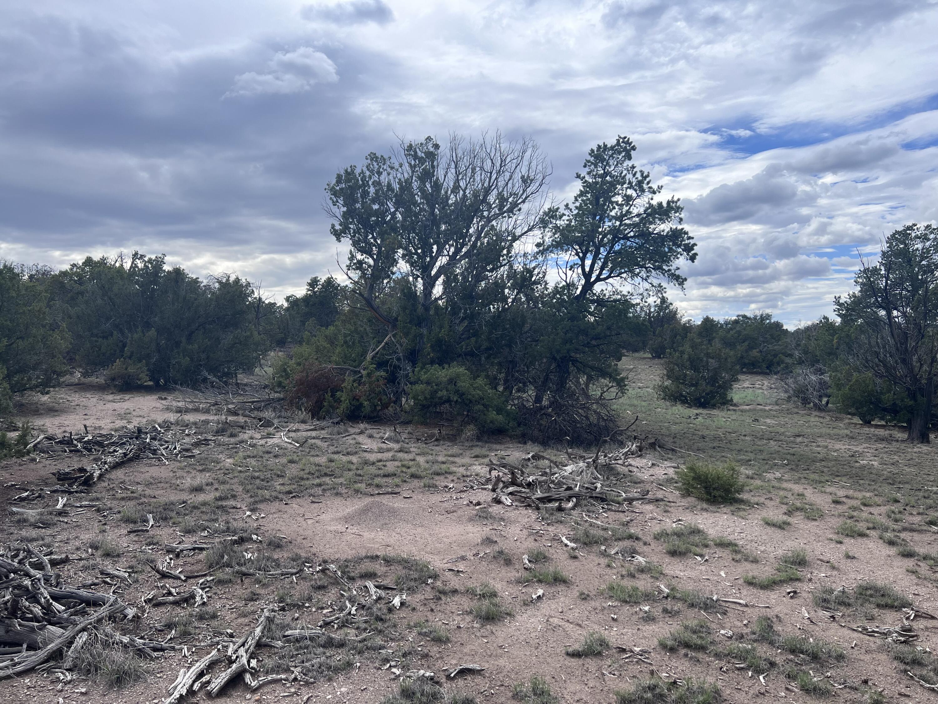 Photo 4 — LOT 20 HORSESHOE CIR