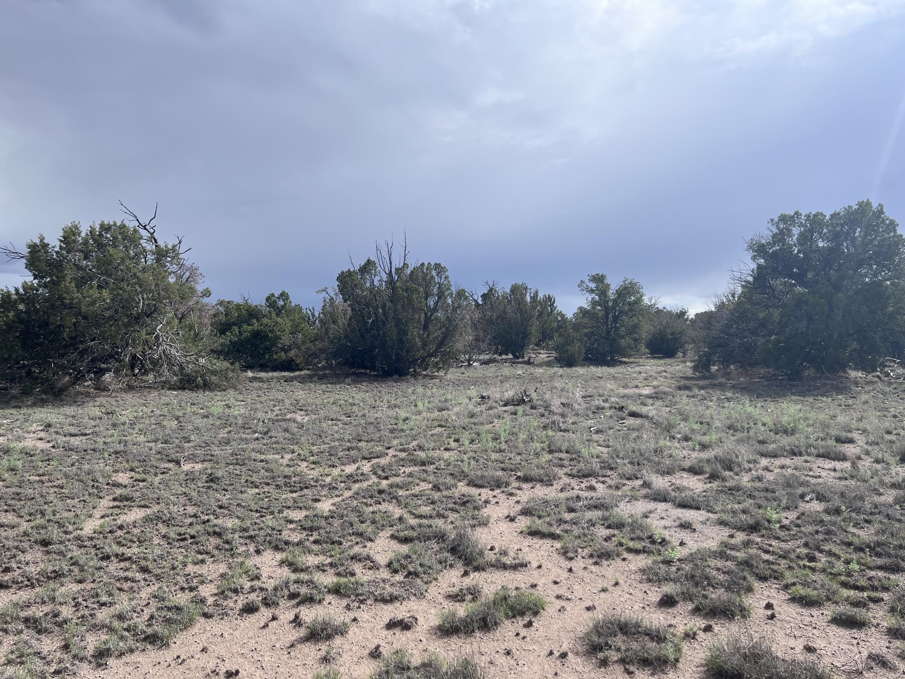 Photo 5 — LOT 20 HORSESHOE CIR