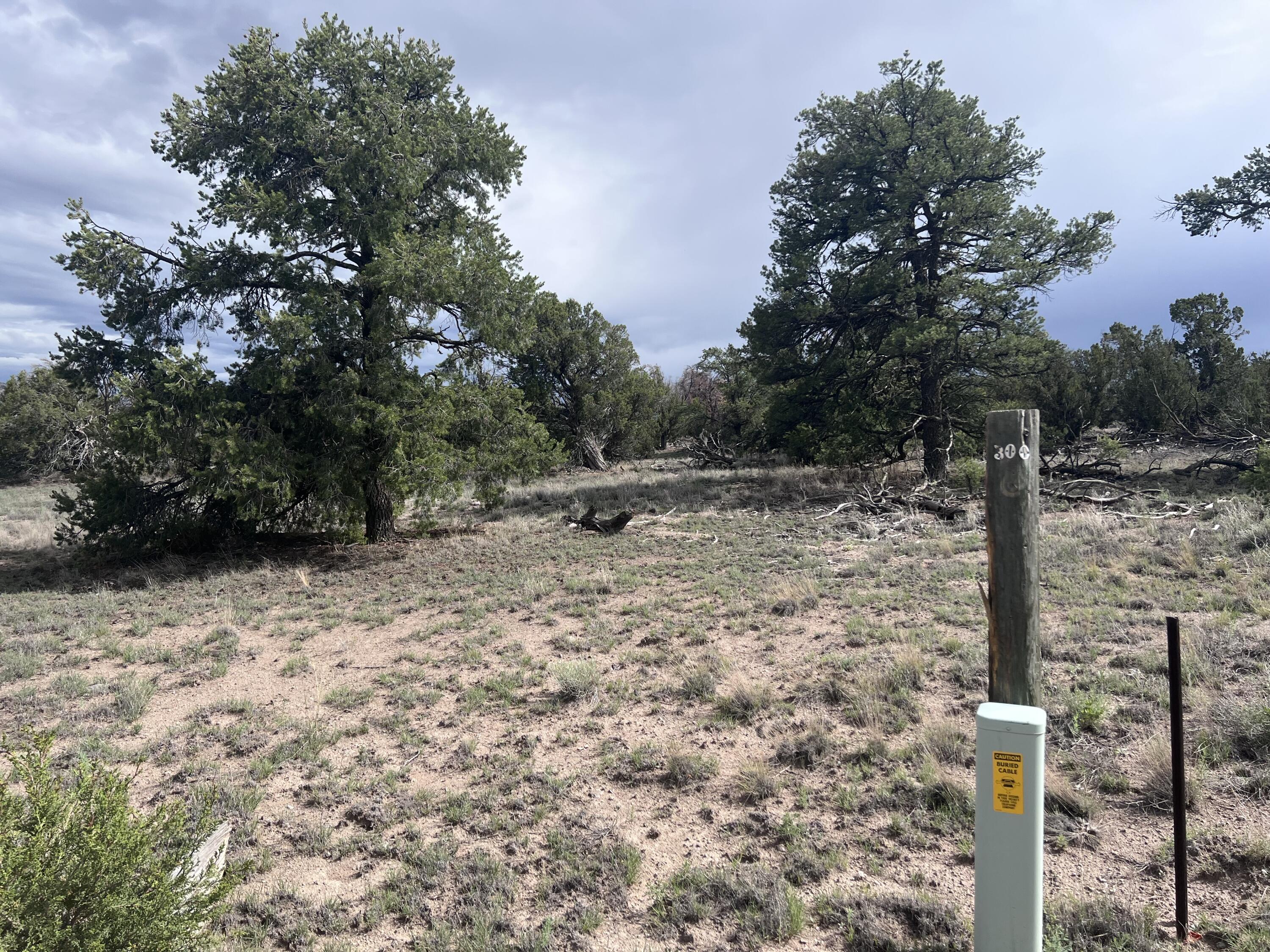 Photo 6 — LOT 20 HORSESHOE CIR