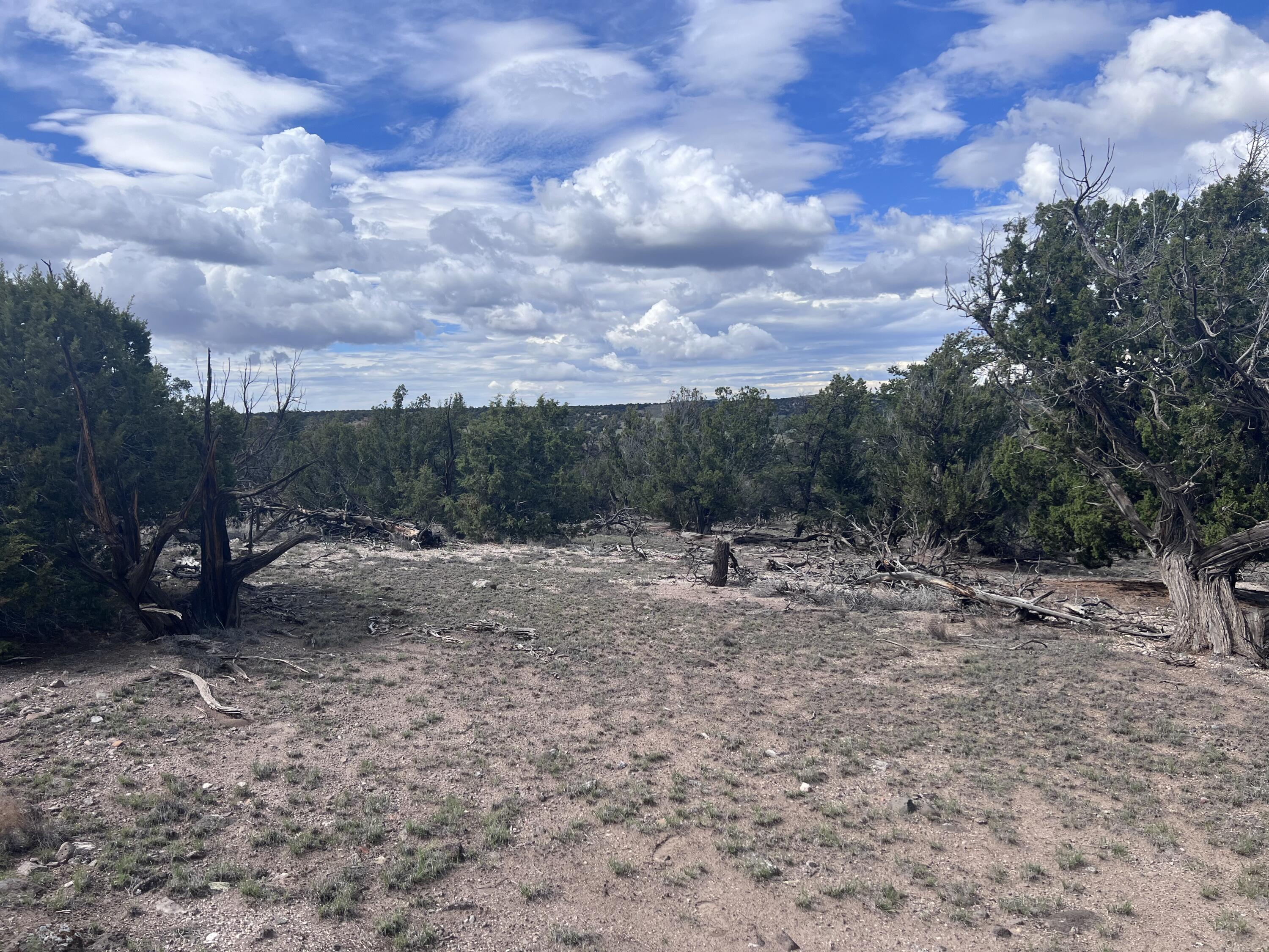 Photo 19 — LOT 20 HORSESHOE CIR