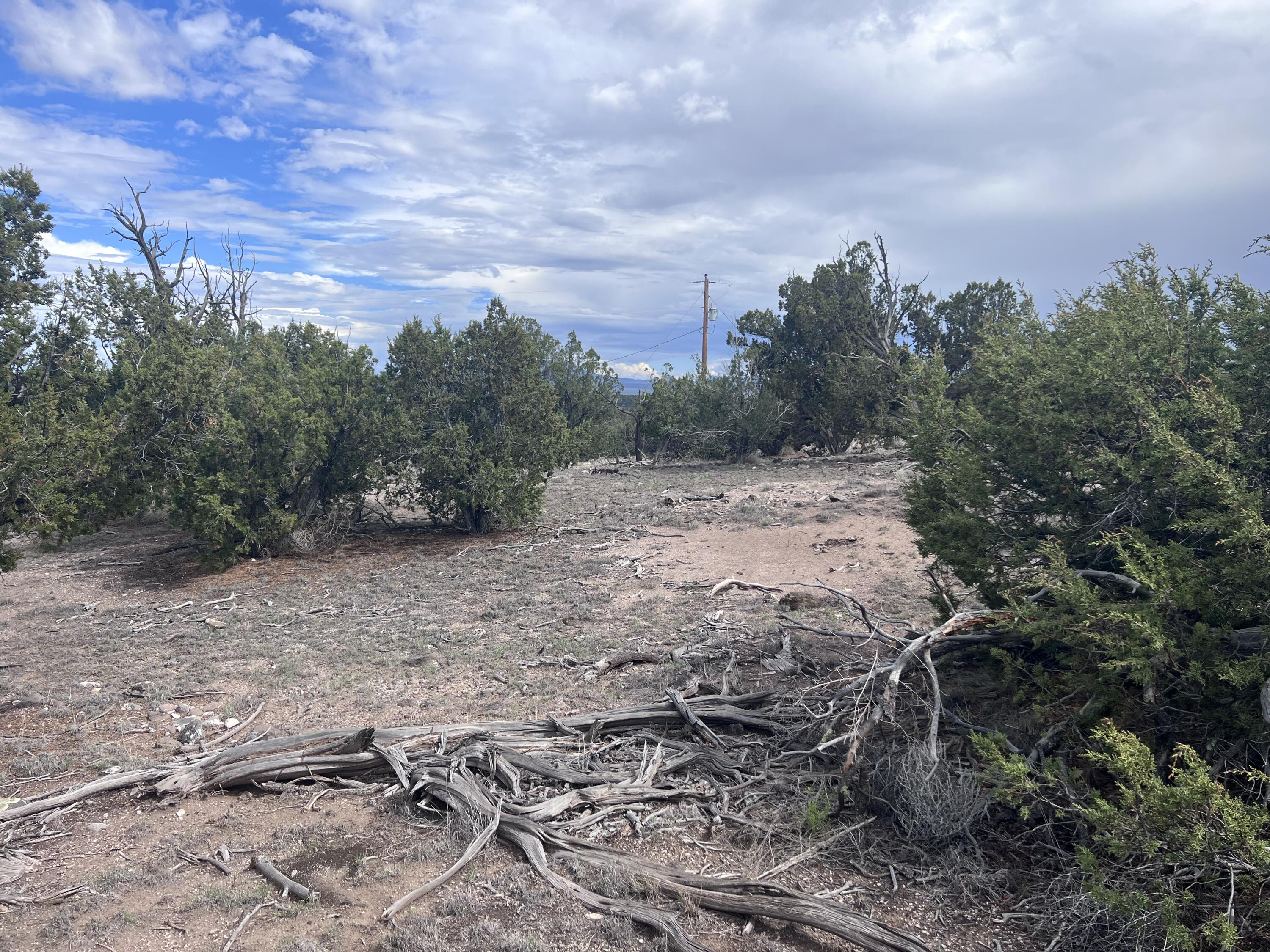 Photo 20 — LOT 20 HORSESHOE CIR