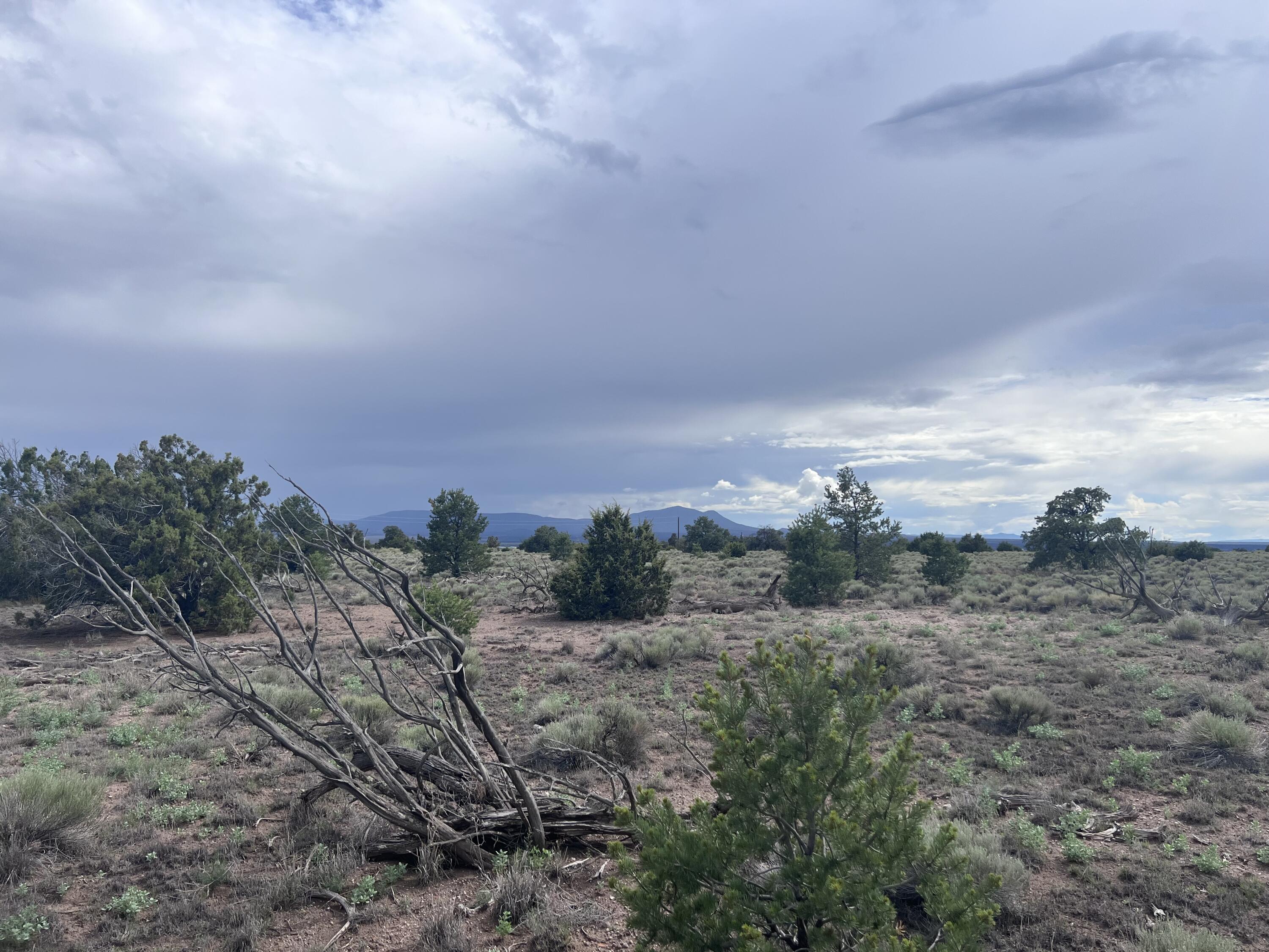Photo 15 — LOT 20 HORSESHOE CIR