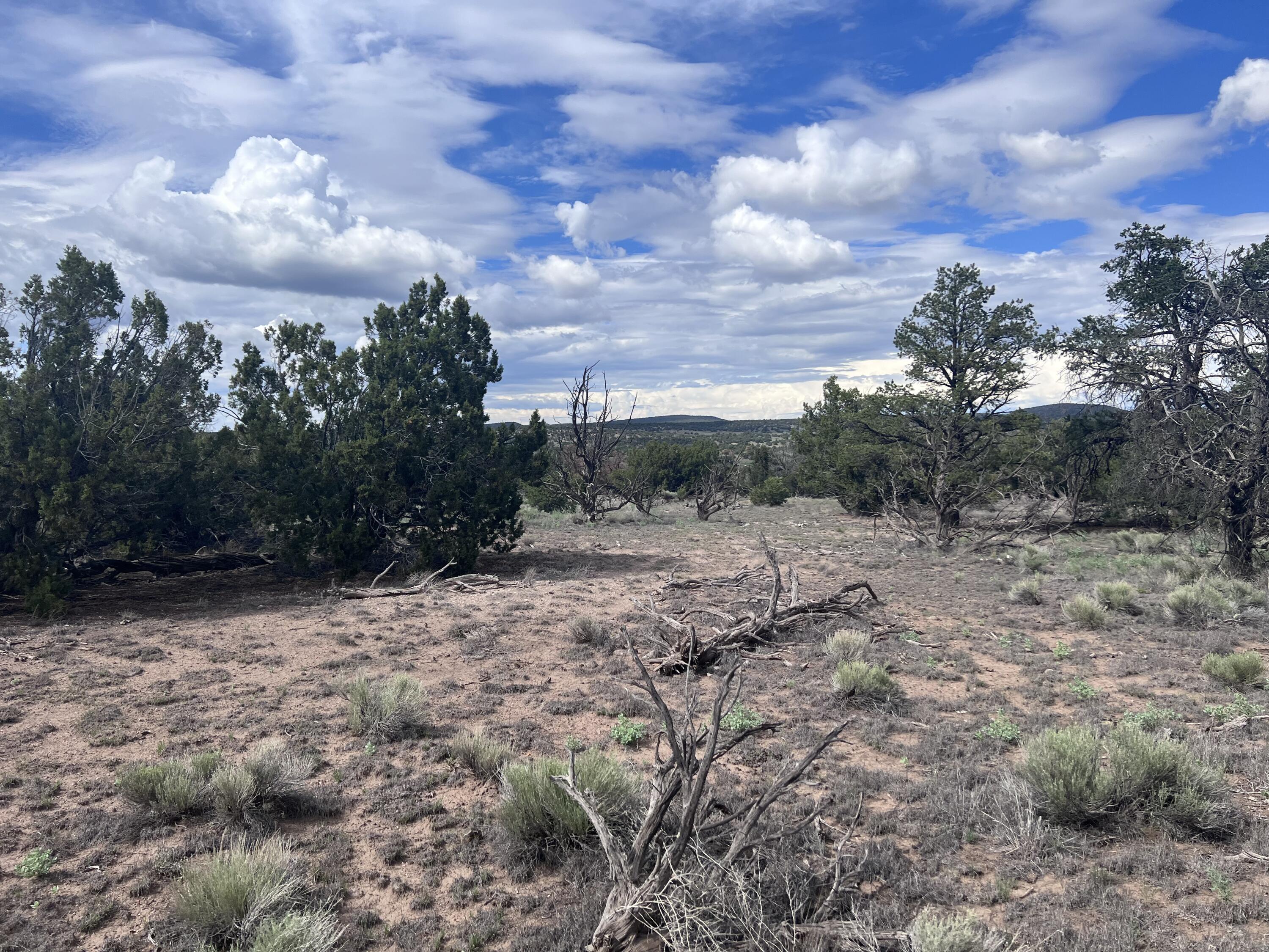 Photo 16 — LOT 20 HORSESHOE CIR