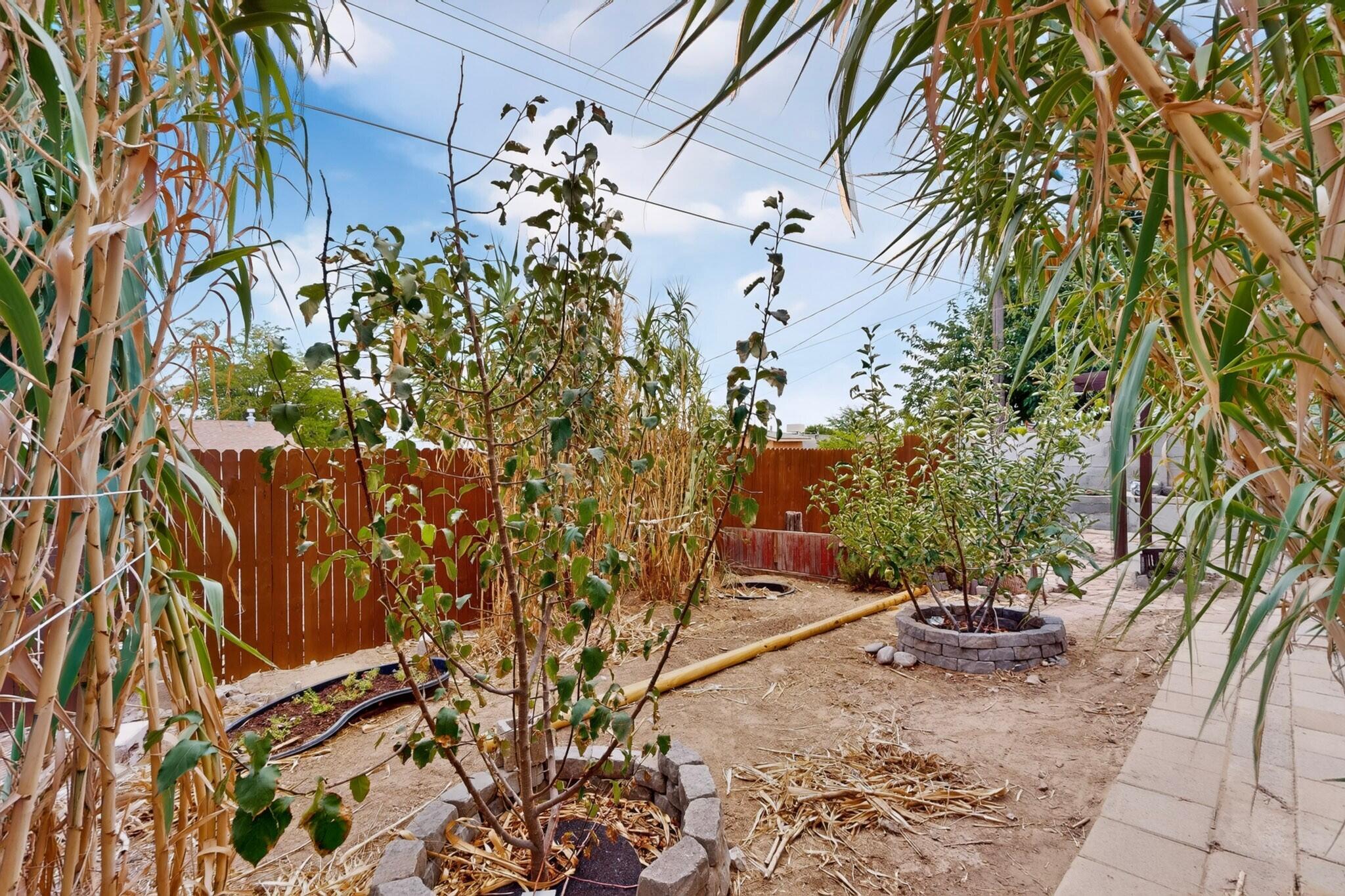 Photo 11 — 1314 Del Monte Trail SW