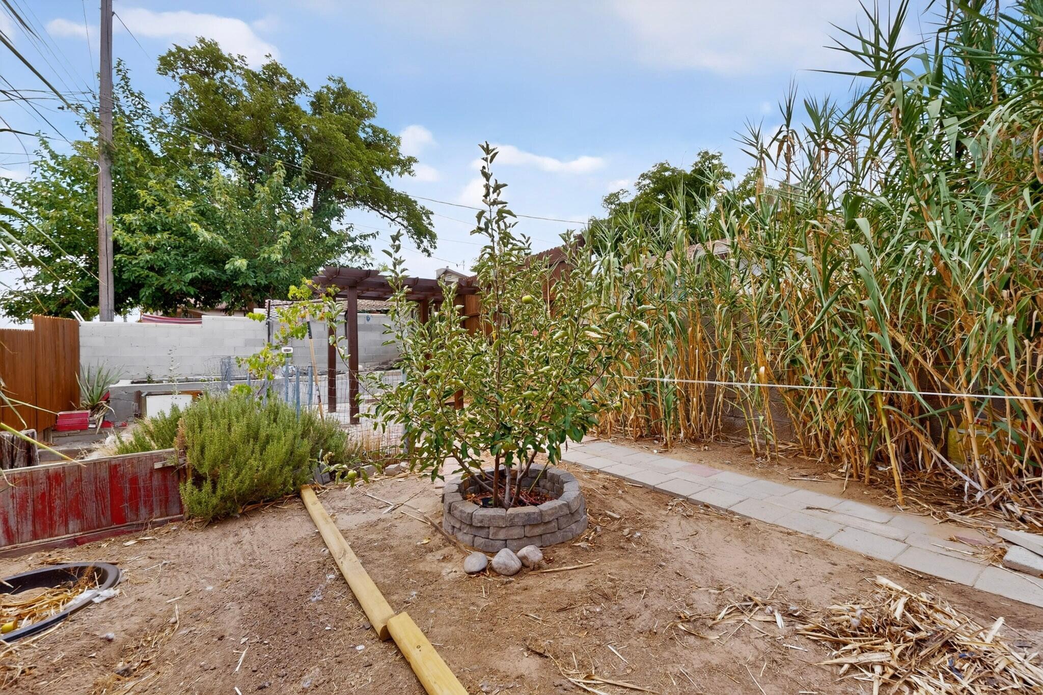 Photo 12 — 1314 Del Monte Trail SW