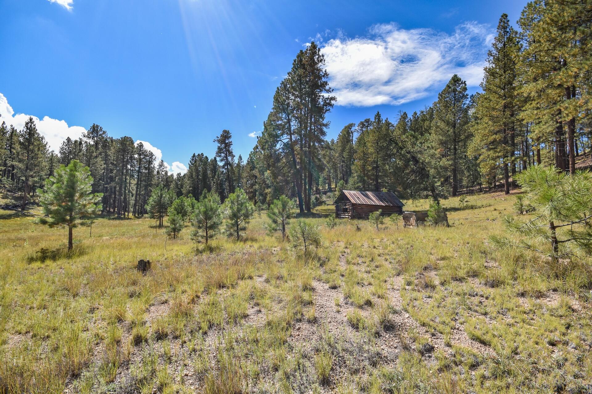 27.5 Acres Jemez Mountain Forest Rd 10, Jemez Springs, NM 87025