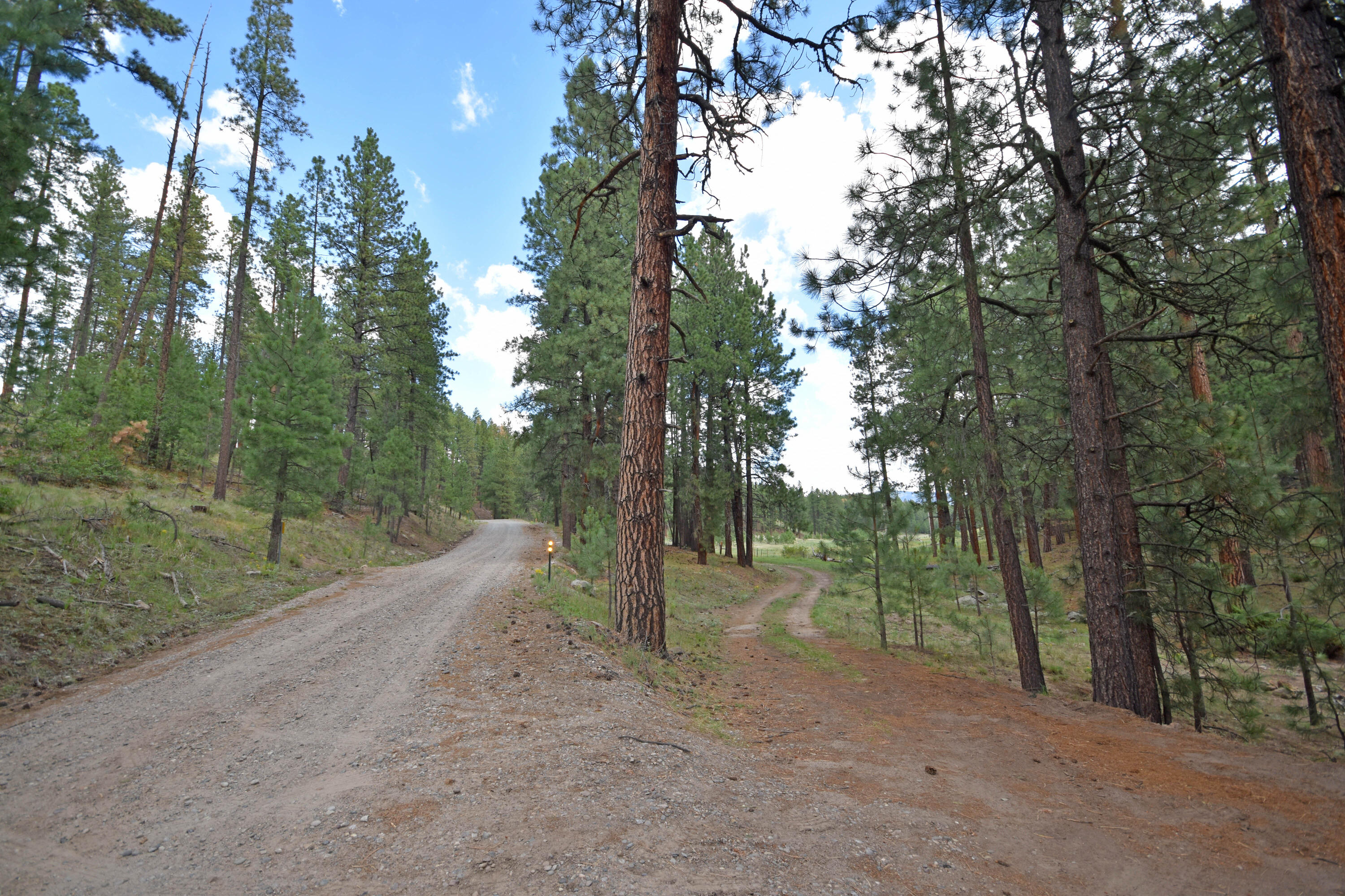 Photo 2 — 27.5 Acres Jemez Mountain Forest Rd 10