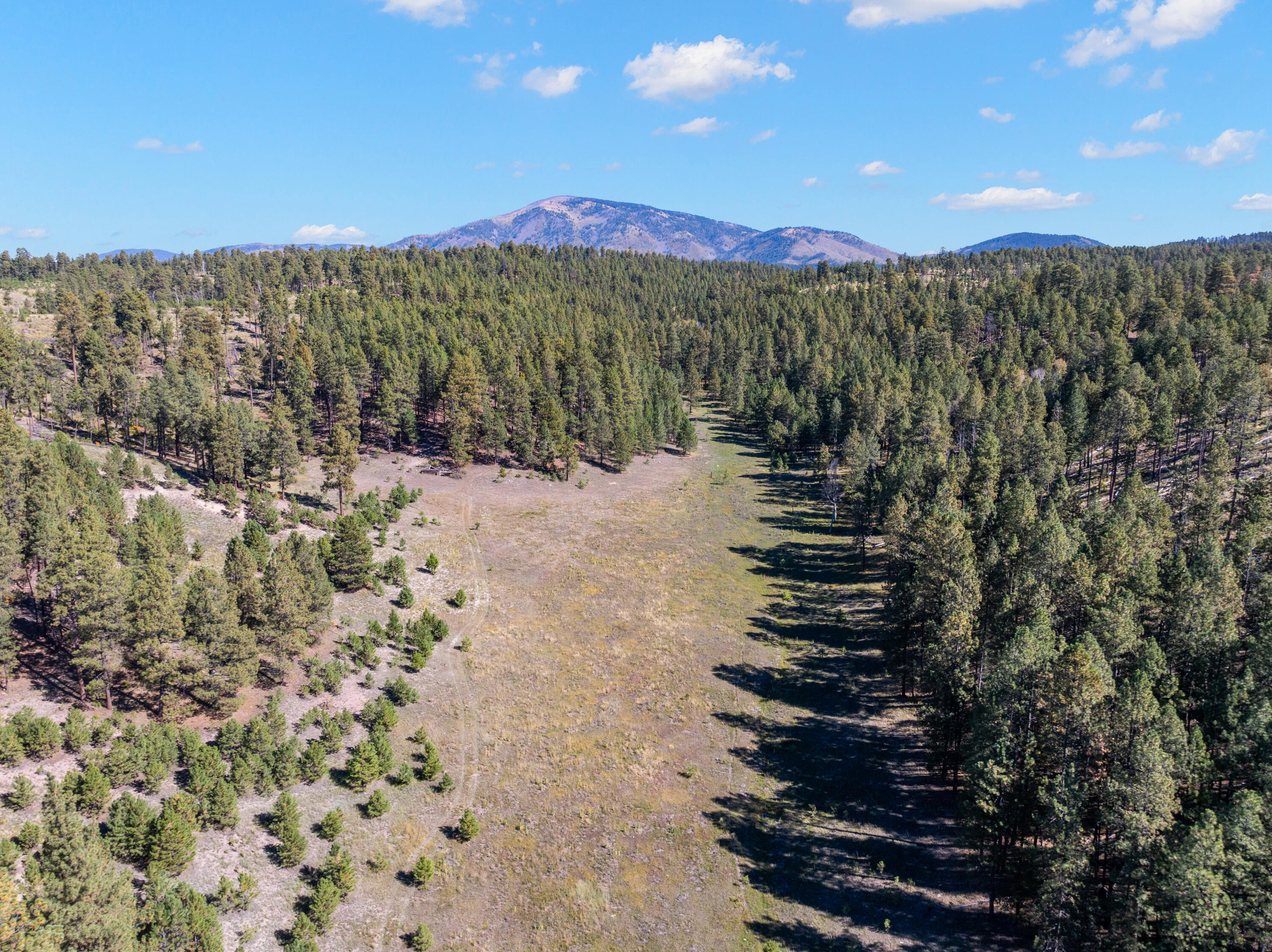 Photo 3 — 27.5 Acres Jemez Mountain Forest Rd 10