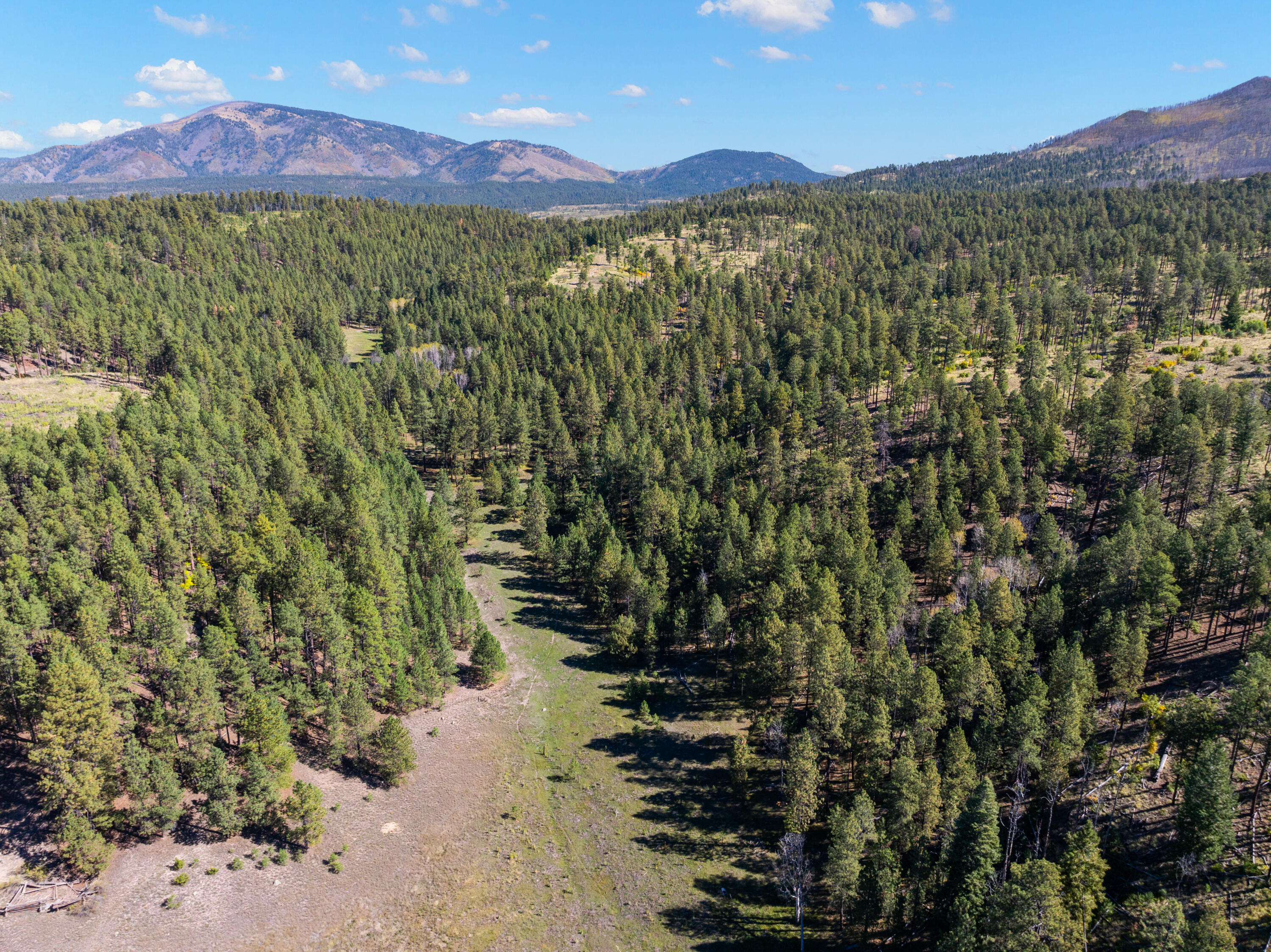 Photo 4 — 27.5 Acres Jemez Mountain Forest Rd 10
