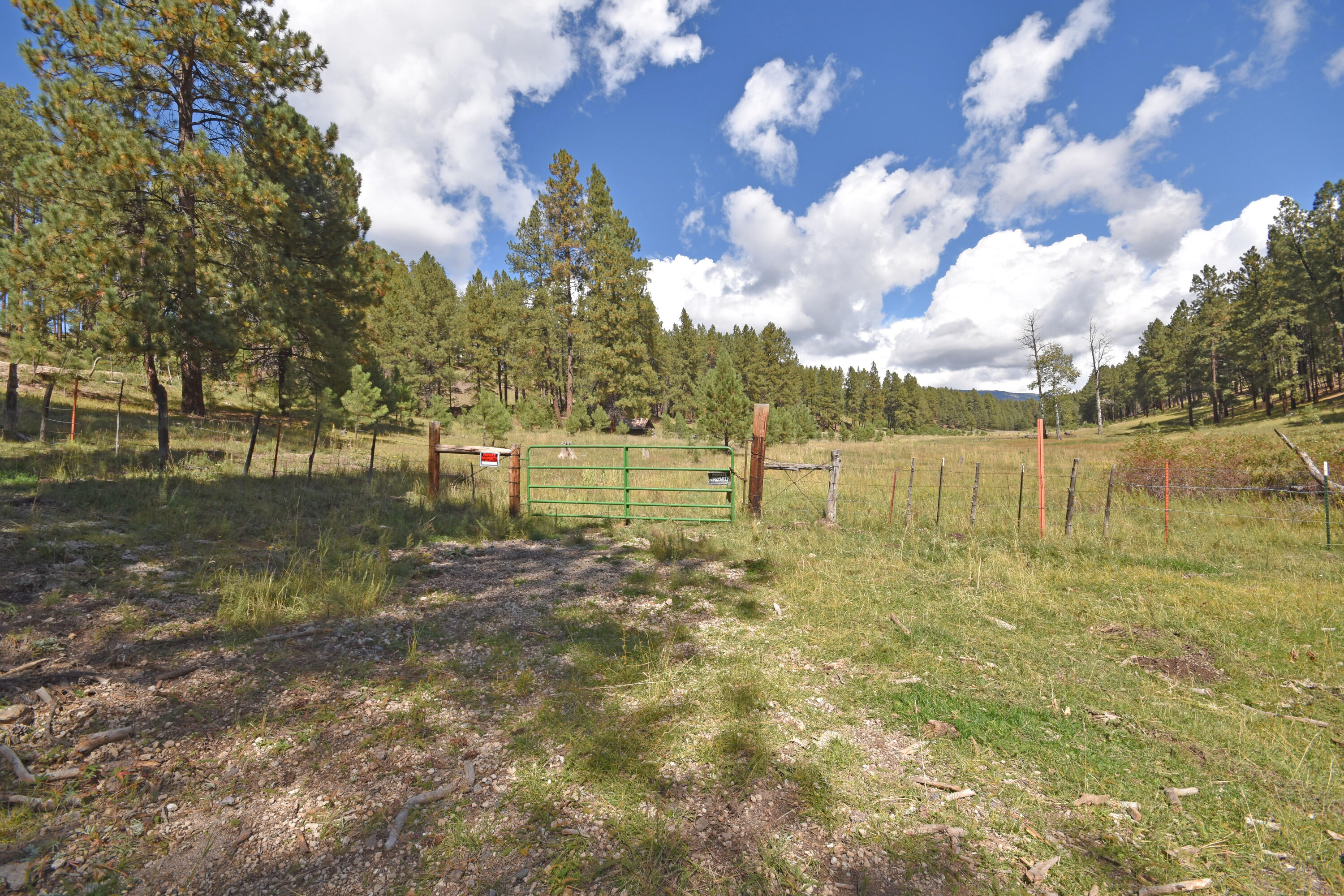 Photo 6 — 27.5 Acres Jemez Mountain Forest Rd 10