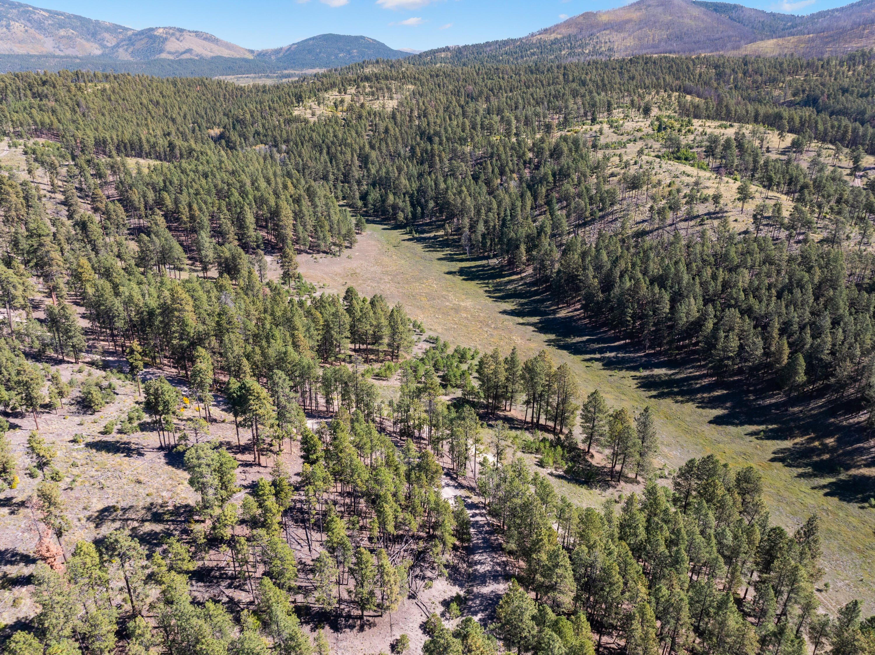 Photo 16 — 27.5 Acres Jemez Mountain Forest Rd 10