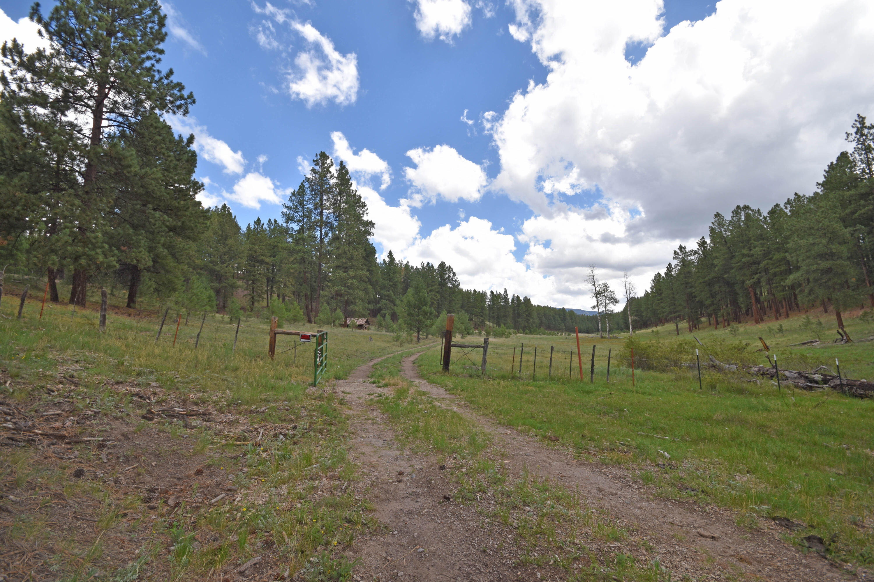 Photo 2 — 27.5 Acres Jemez Mountain Forest Rd 10