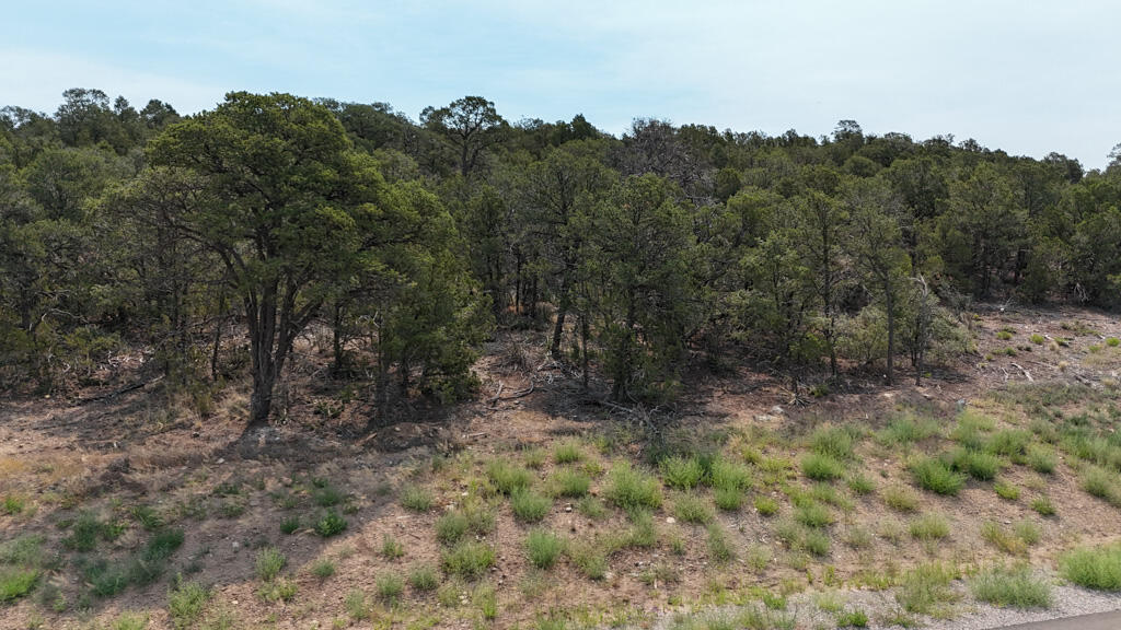 132 Prestige Drive, Tijeras, NM 87059