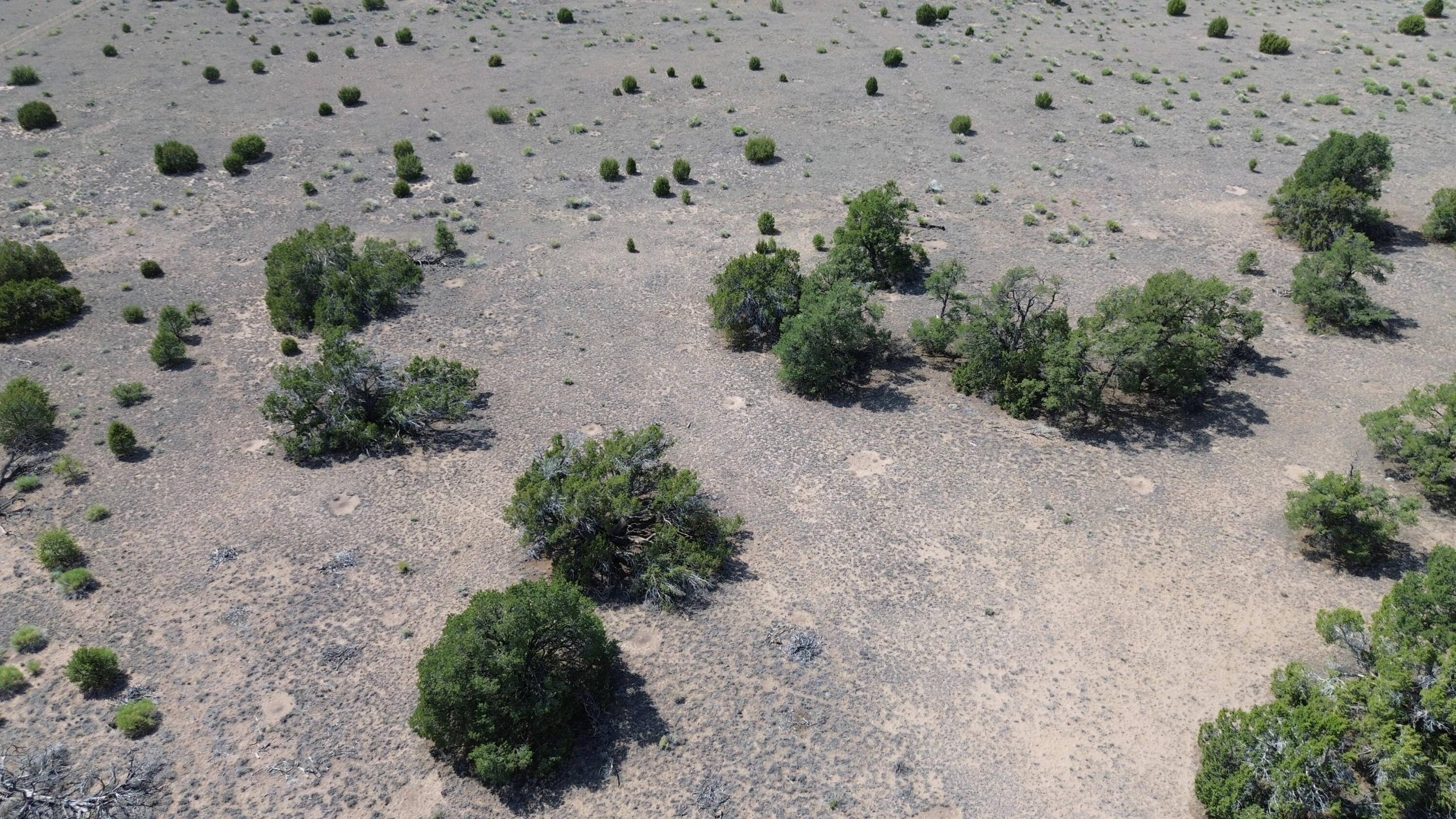 Photo 3 — LOT 103 TEE PEE TRL