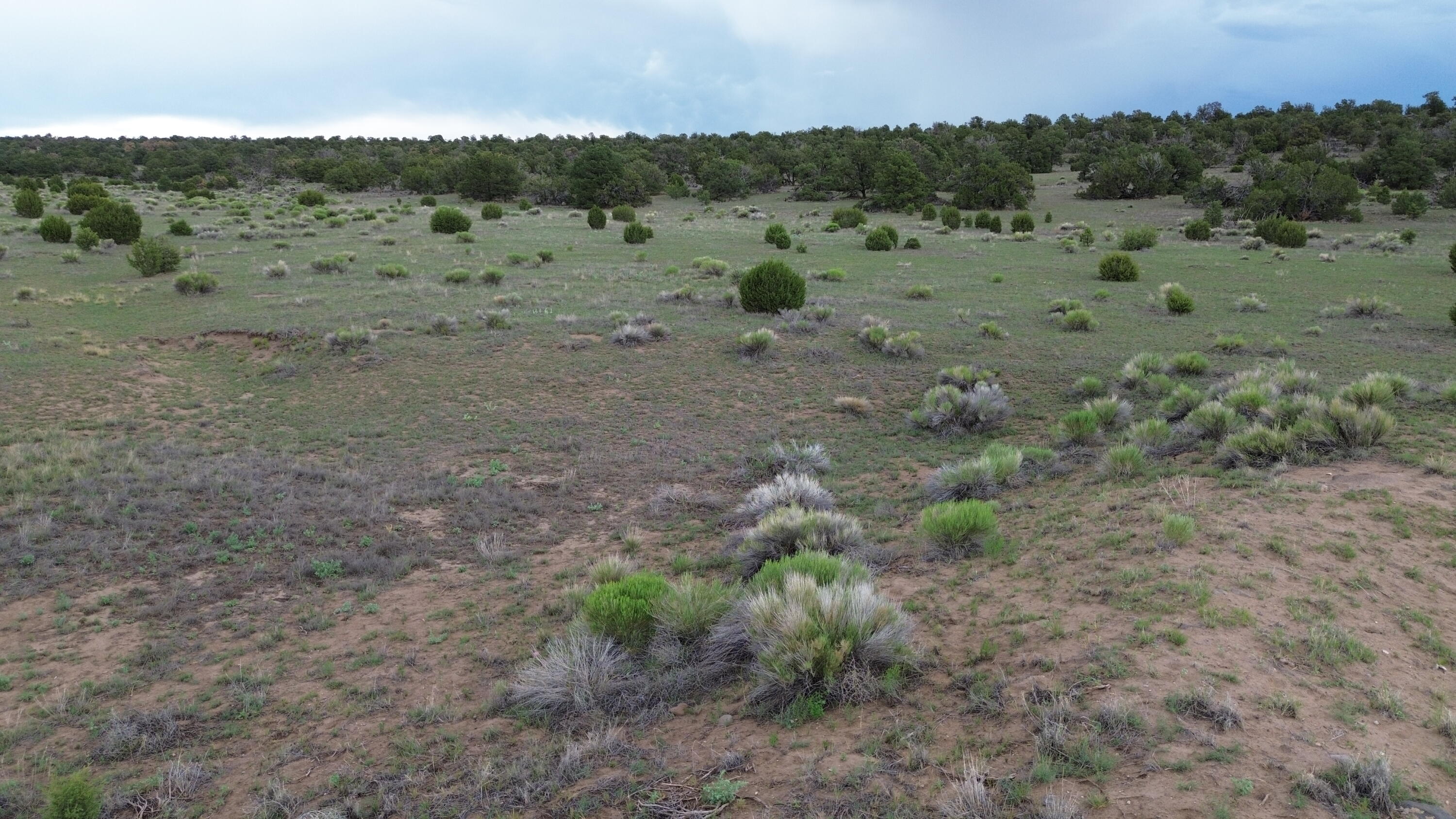 Photo 3 — LOT 103 TEE PEE TRL